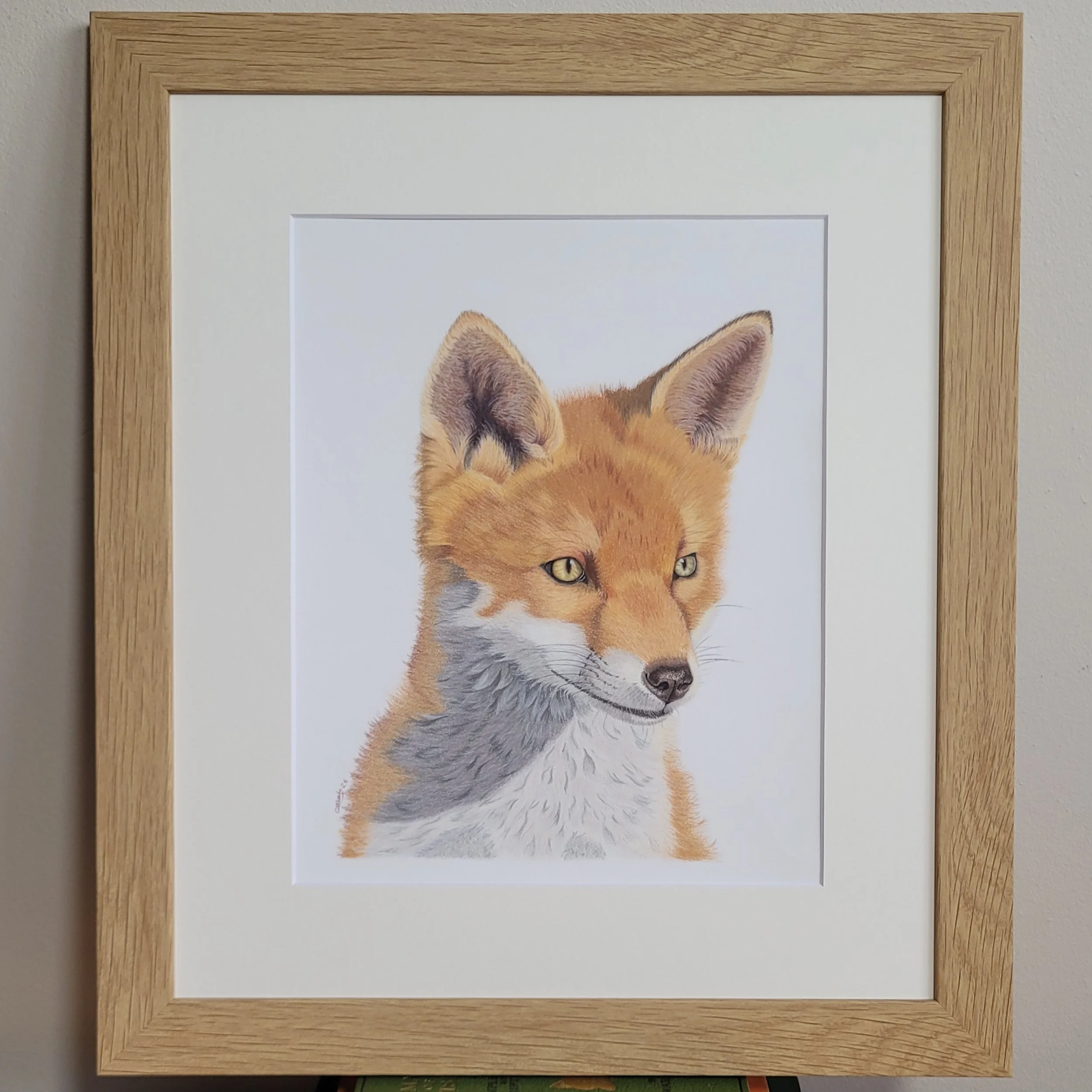 Framed gazing fox original art.