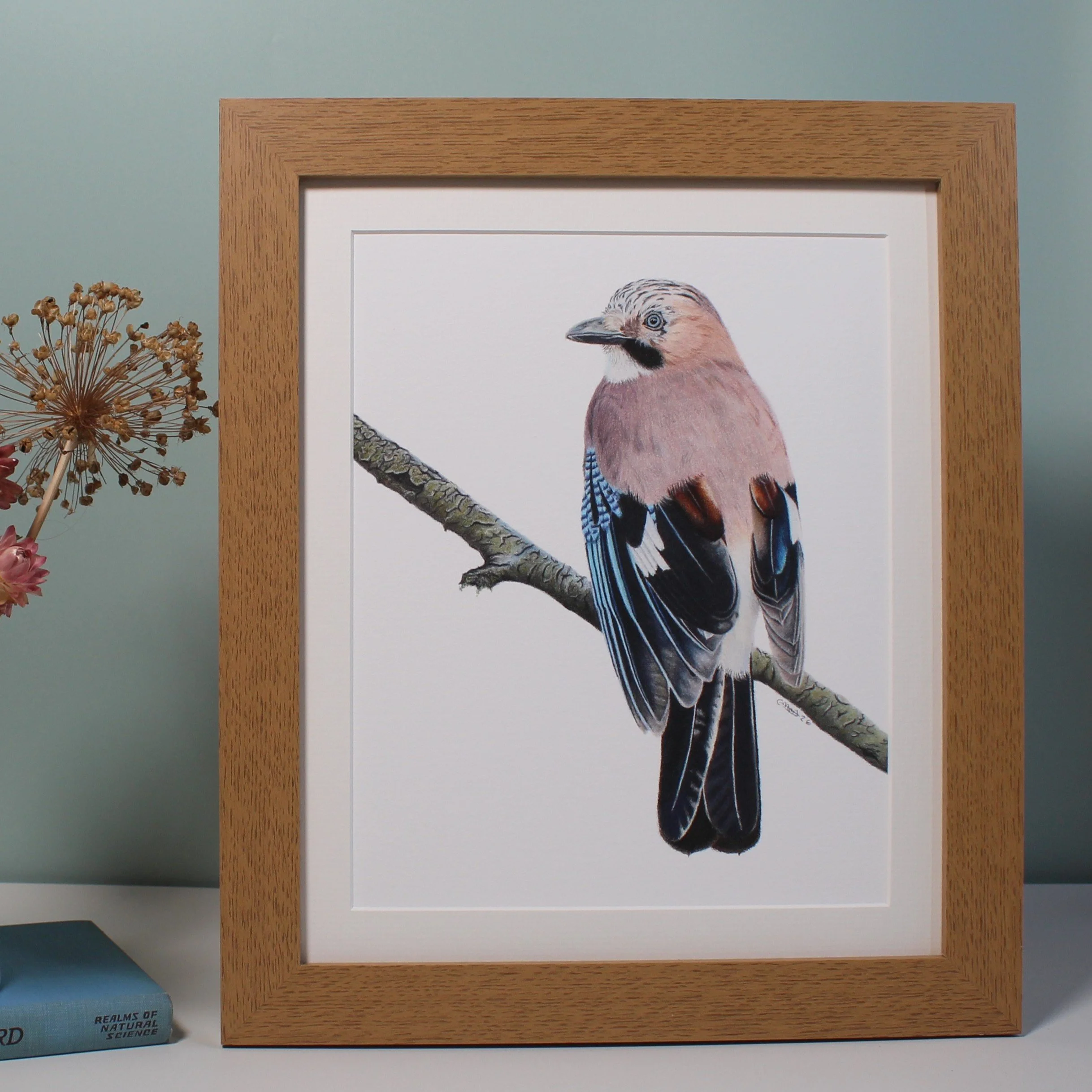 Jay large framed fine art print.