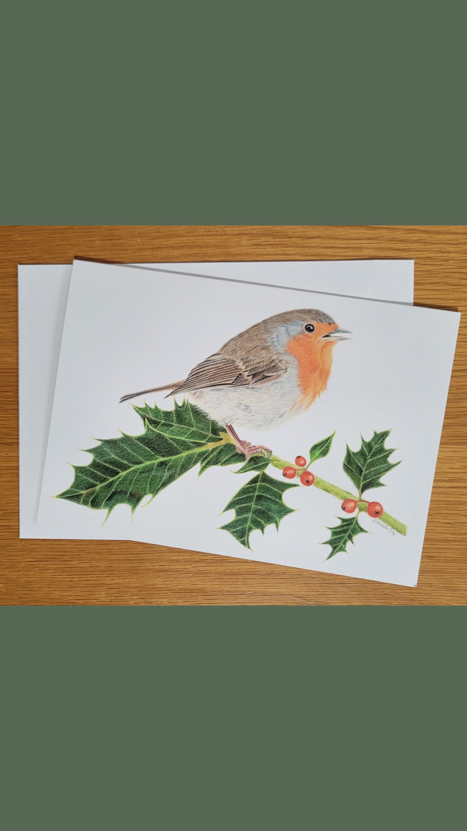 Robin on holly Christmas / greetings card