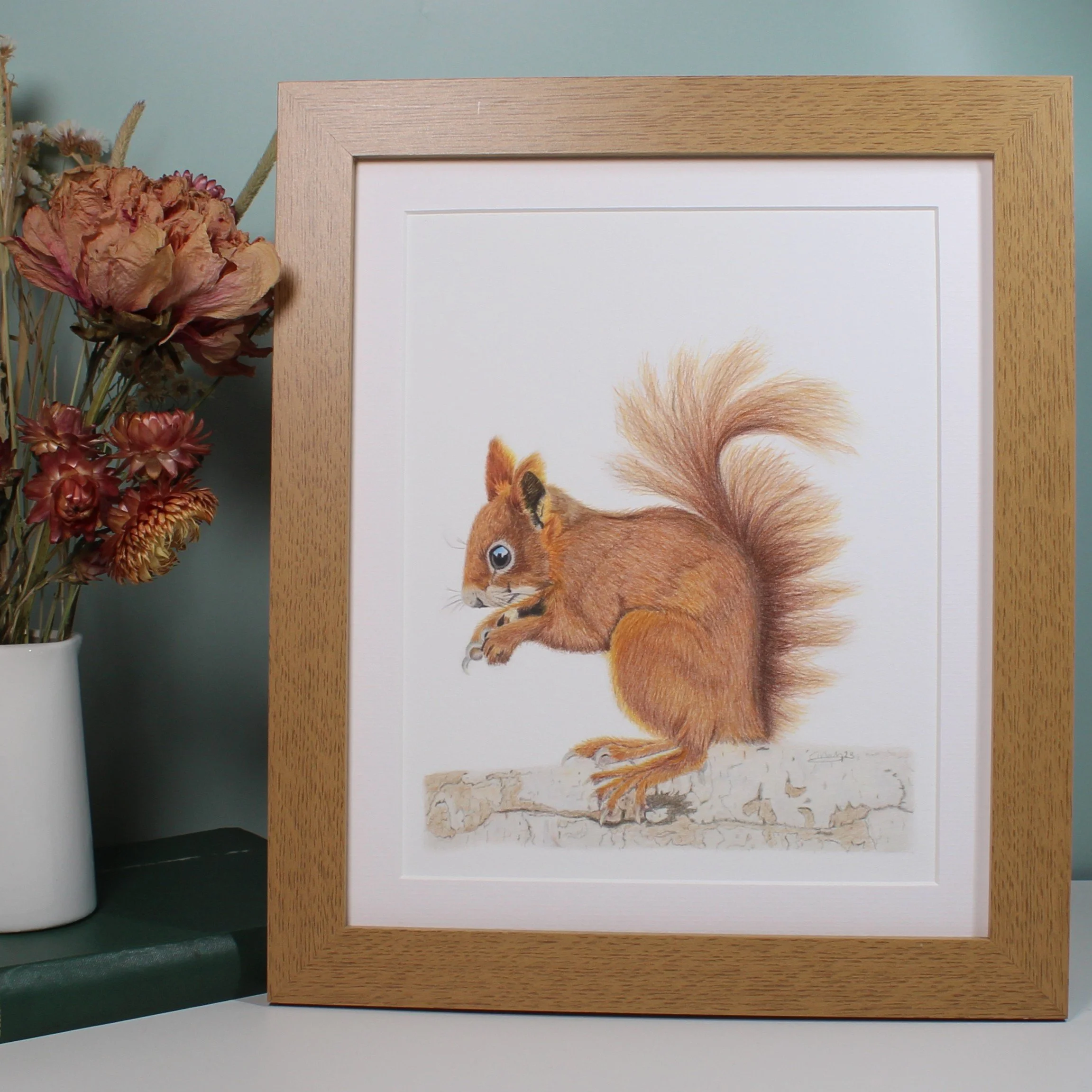 Red squirrel large framed fine art print.