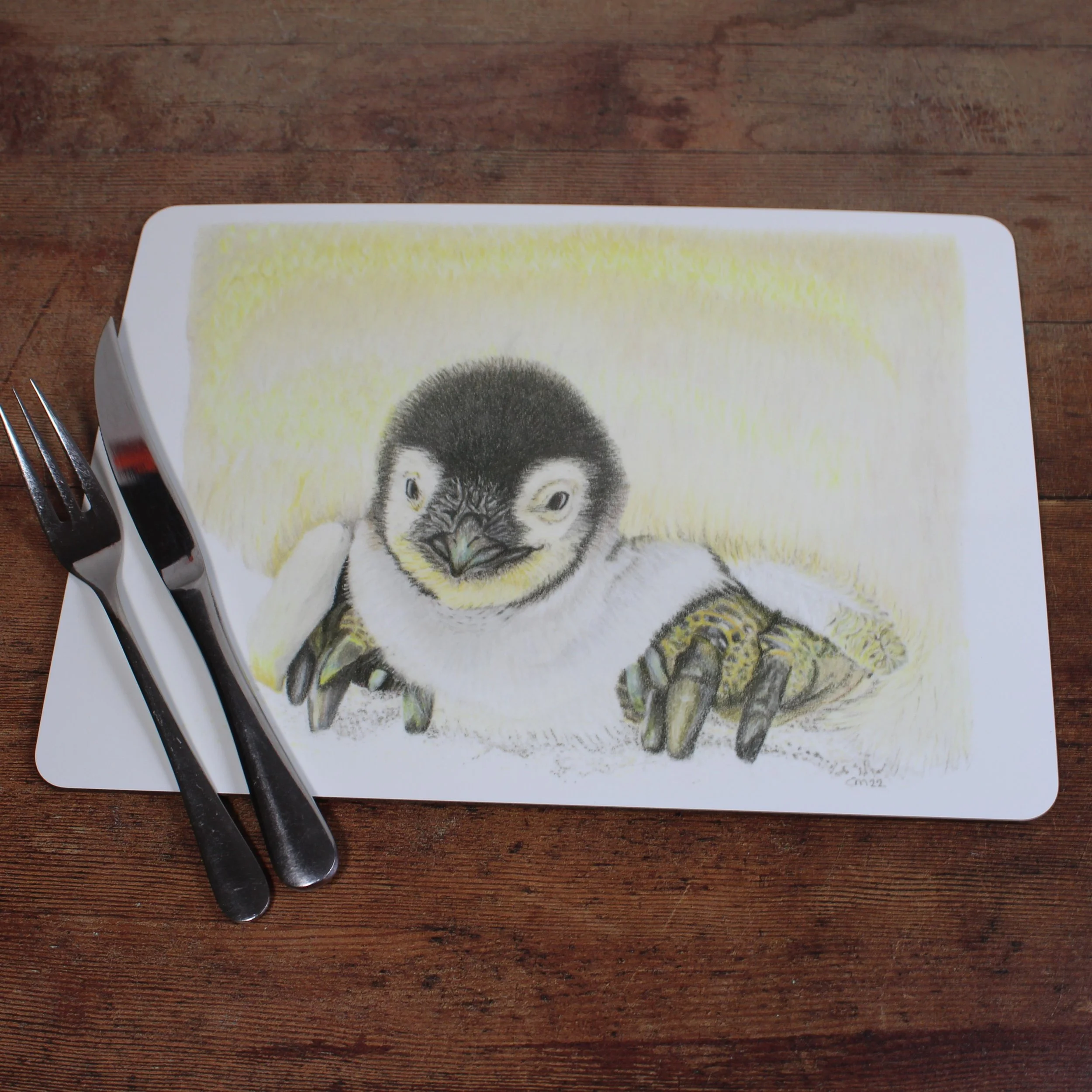 Penguin chick individual placements