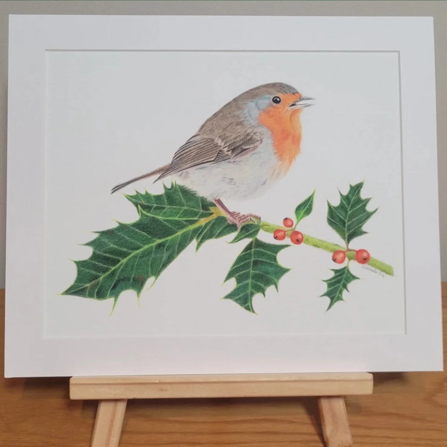 Robin on holly mounted fine art print.