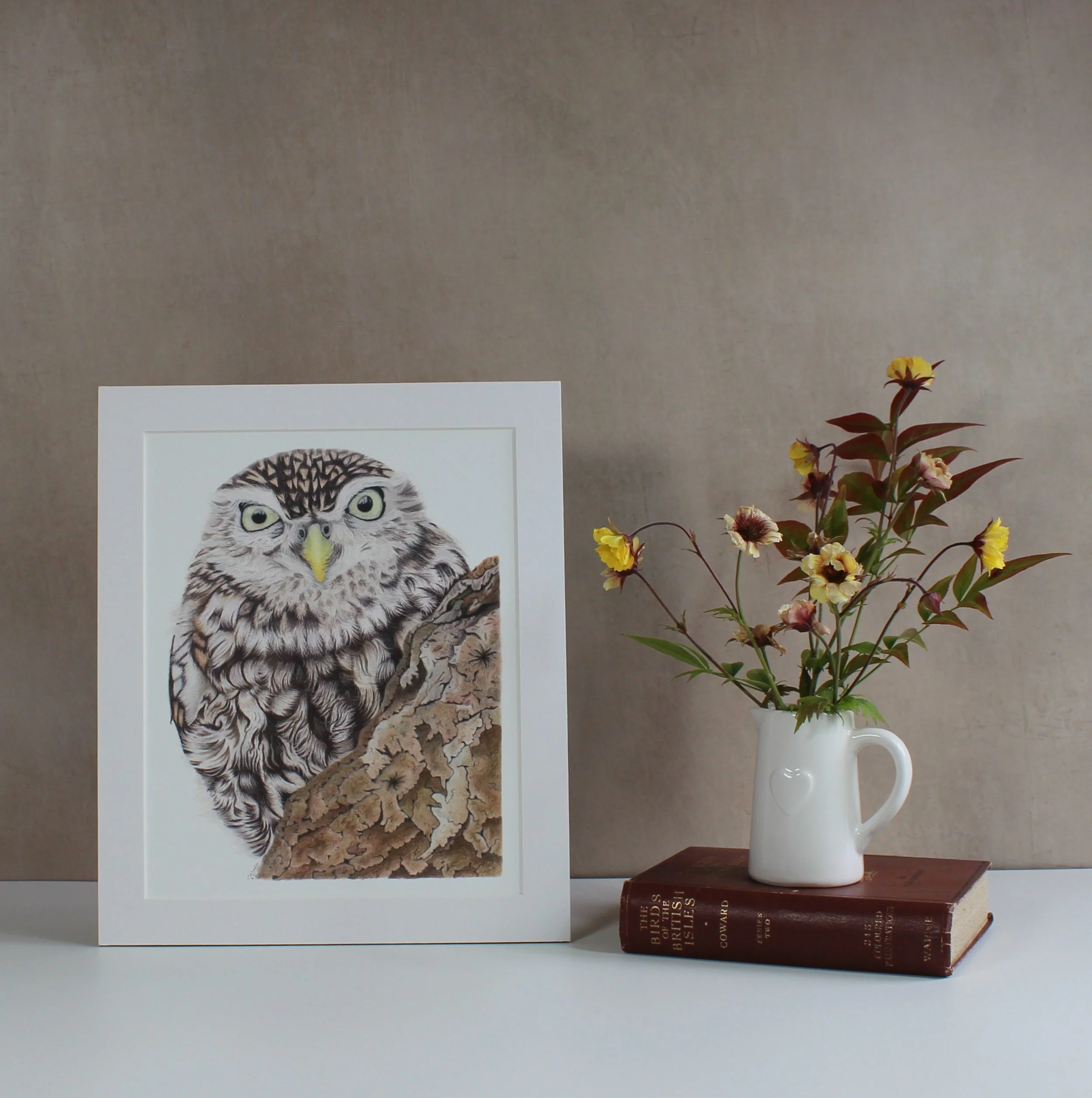 Little owl fine art print (mounted and unframed)