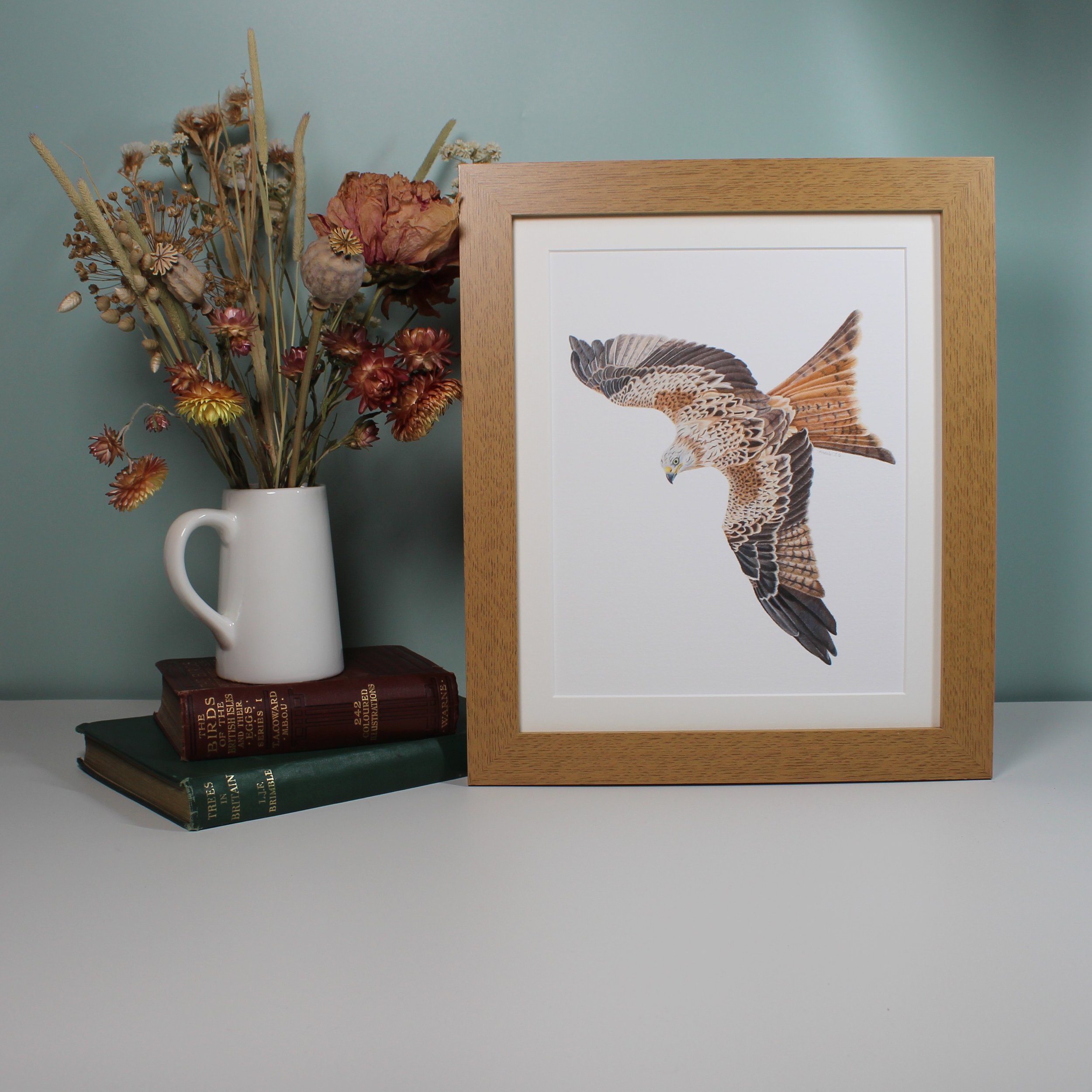 Red kite large framed fine art print