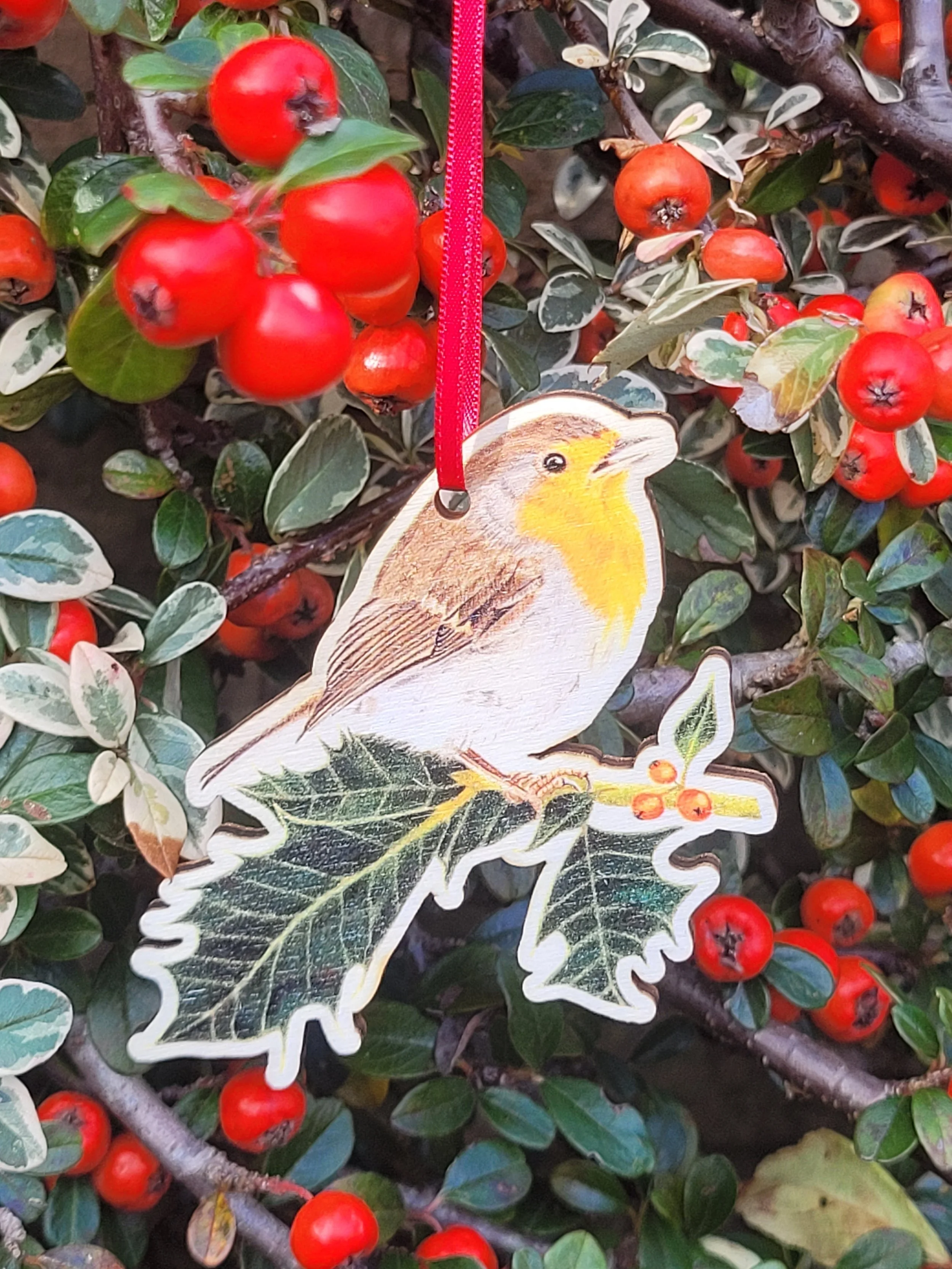 A robin on holly wooden Christmas decoration with a red ribbon.