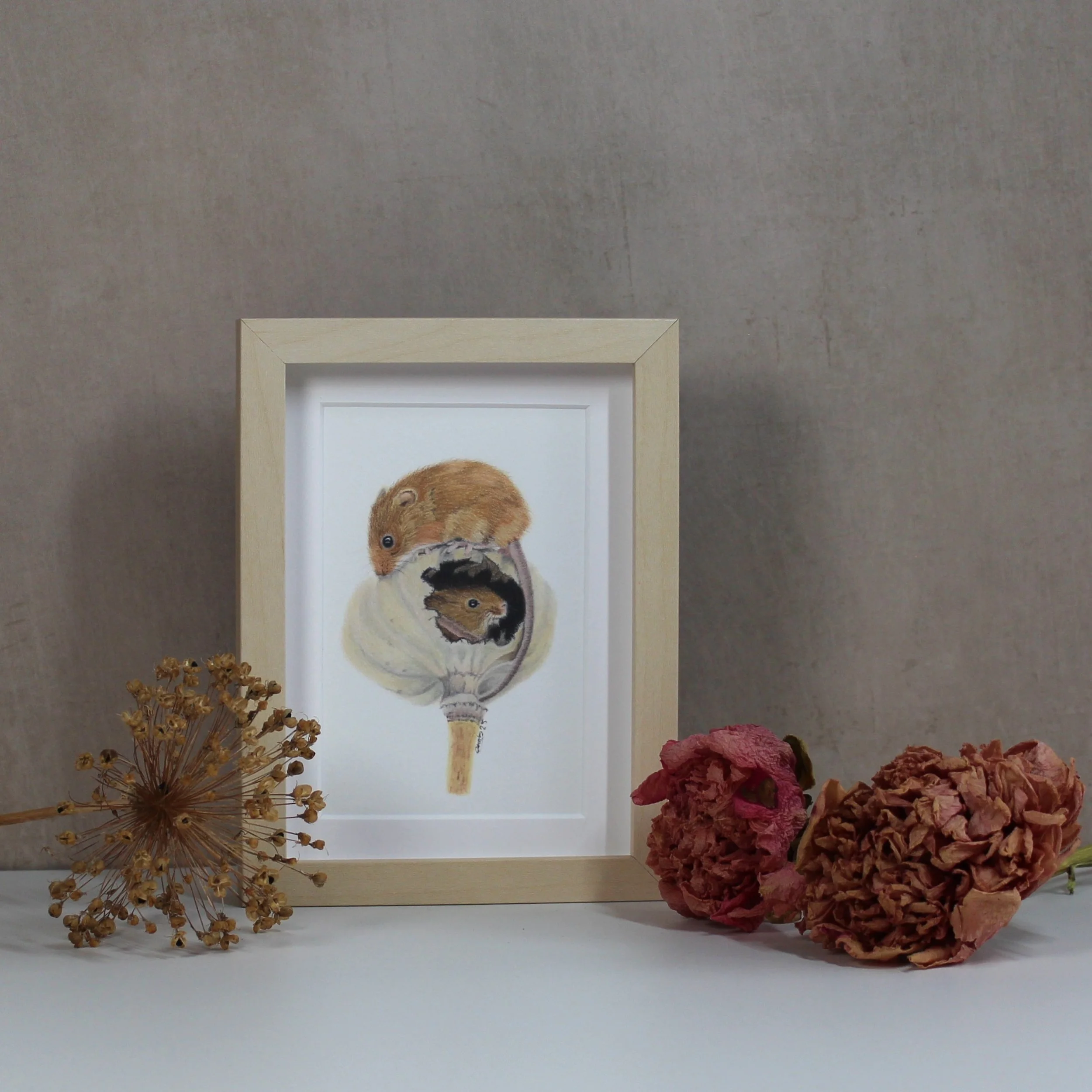 Harvest mice small framed fine art print