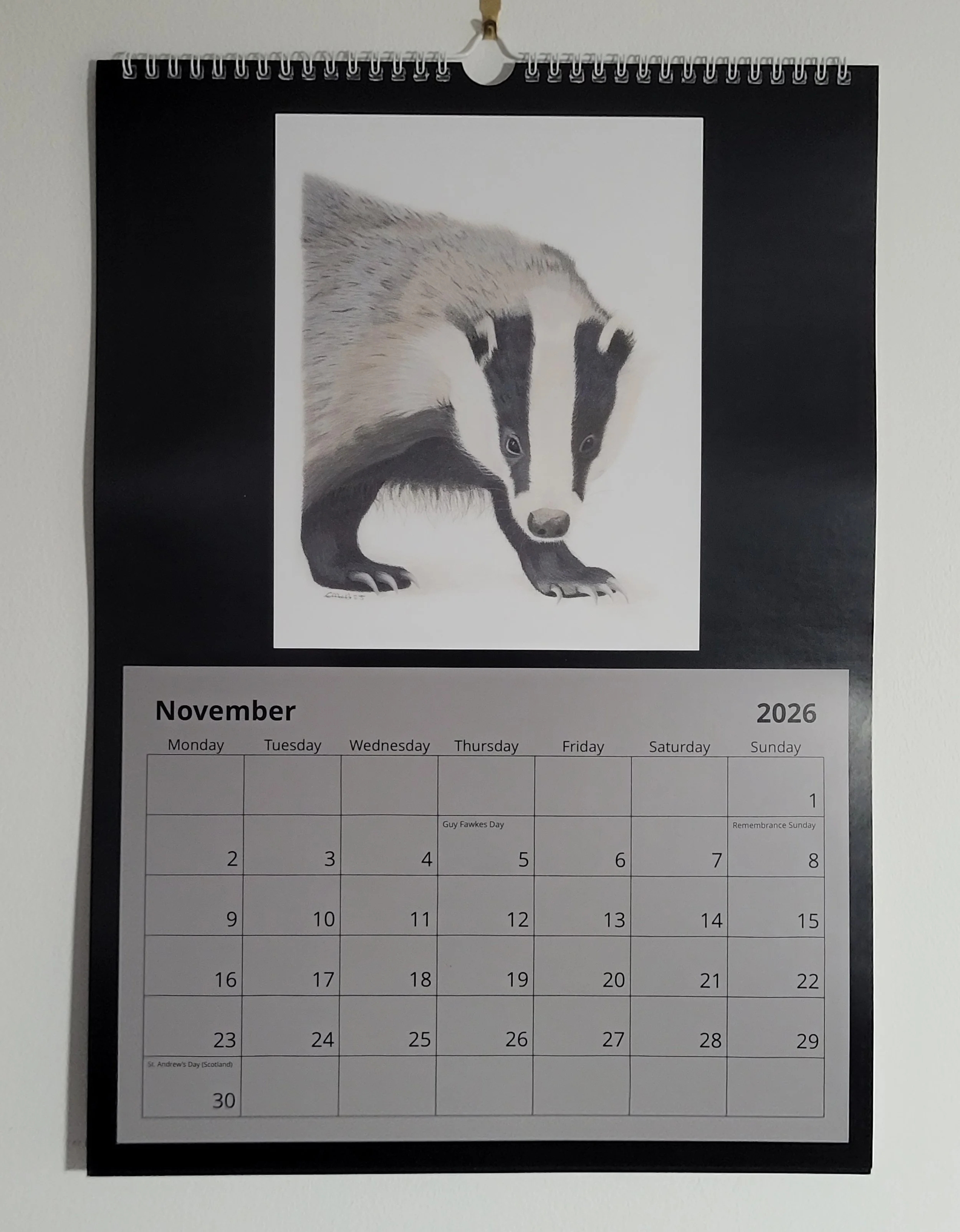2026 British wildlife A3 wall calendar. A badger features for November.