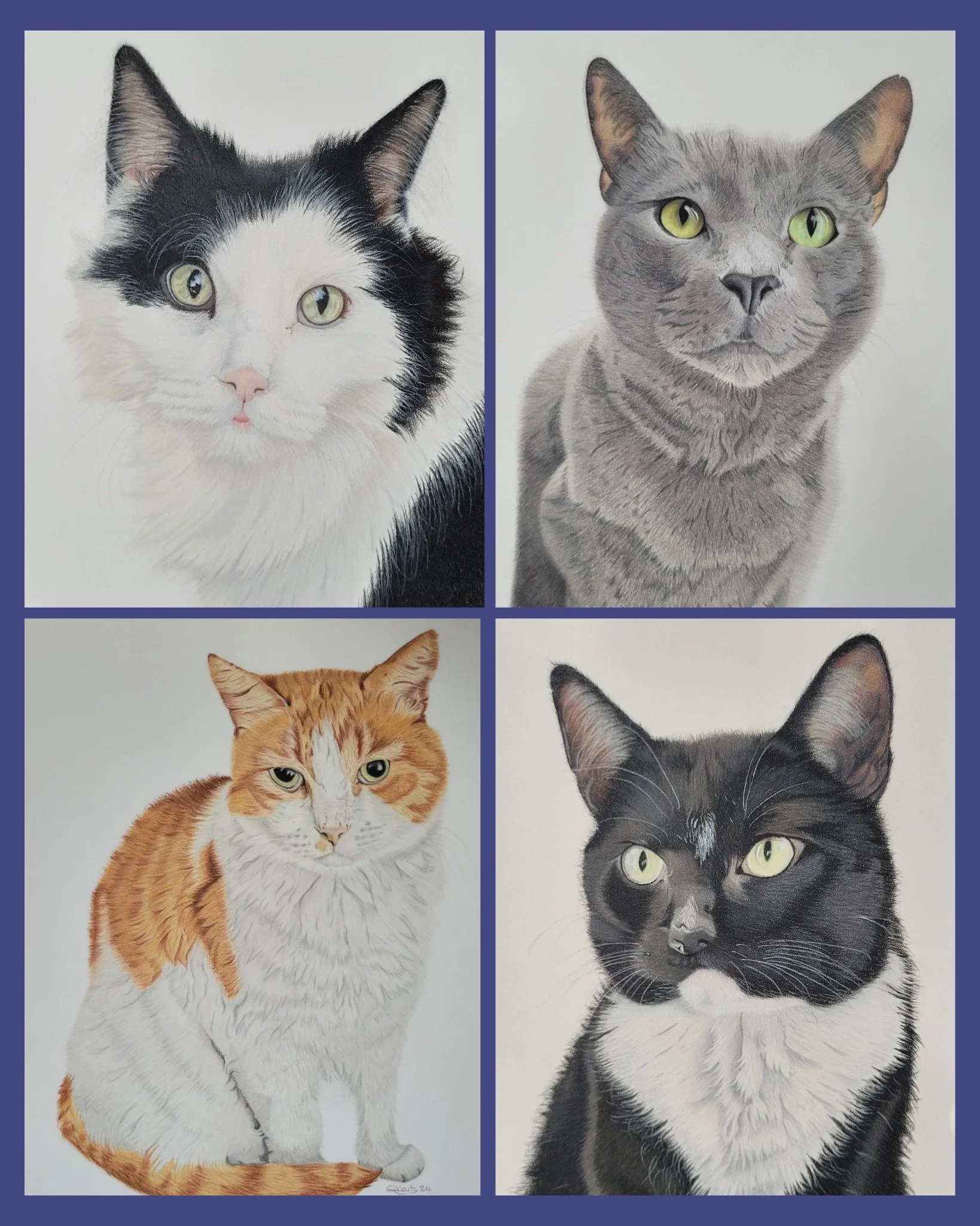 Cat pet portraits by CM  Creative