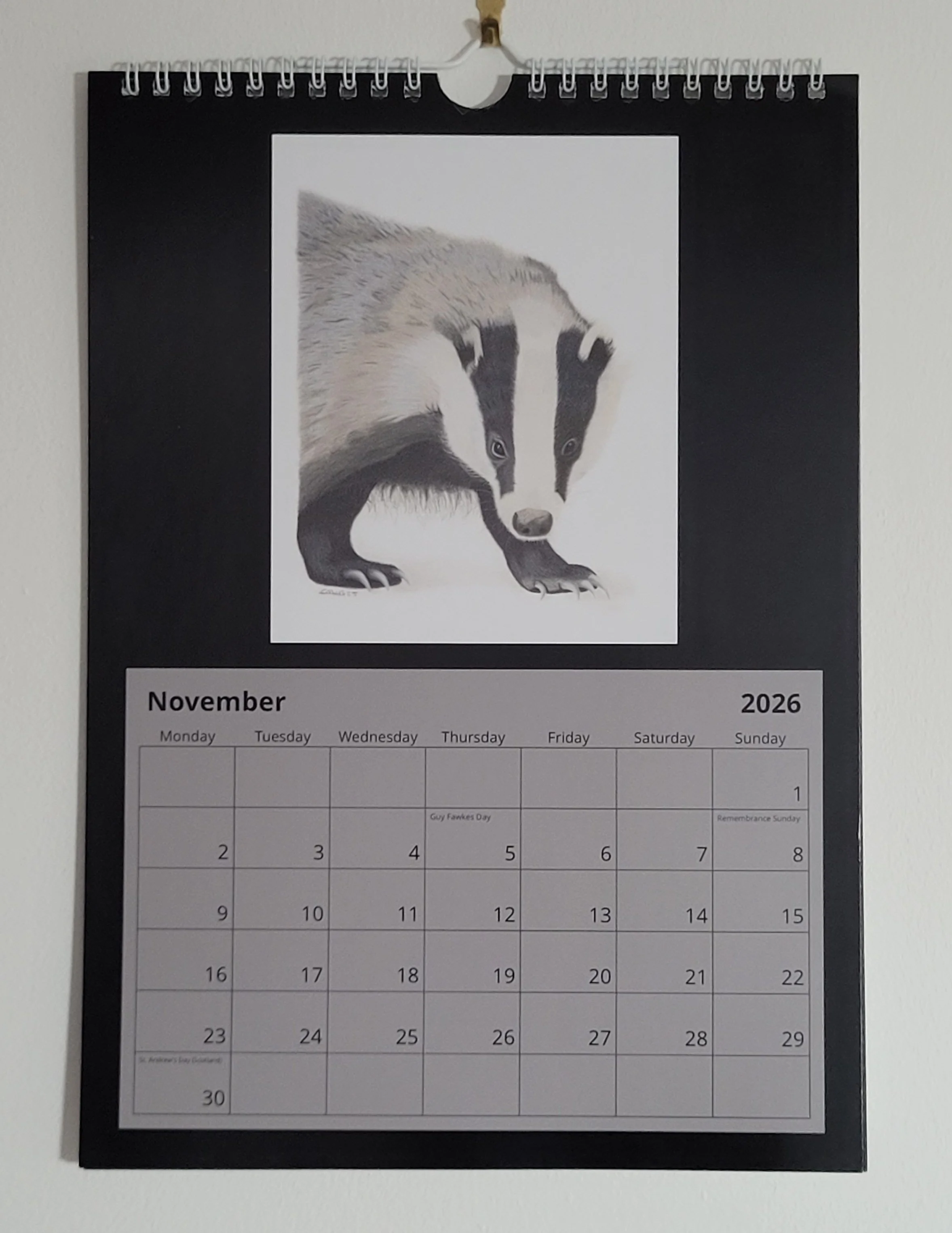 2026 wall calendar with British wildlife artwork. A badger is on the page for November.