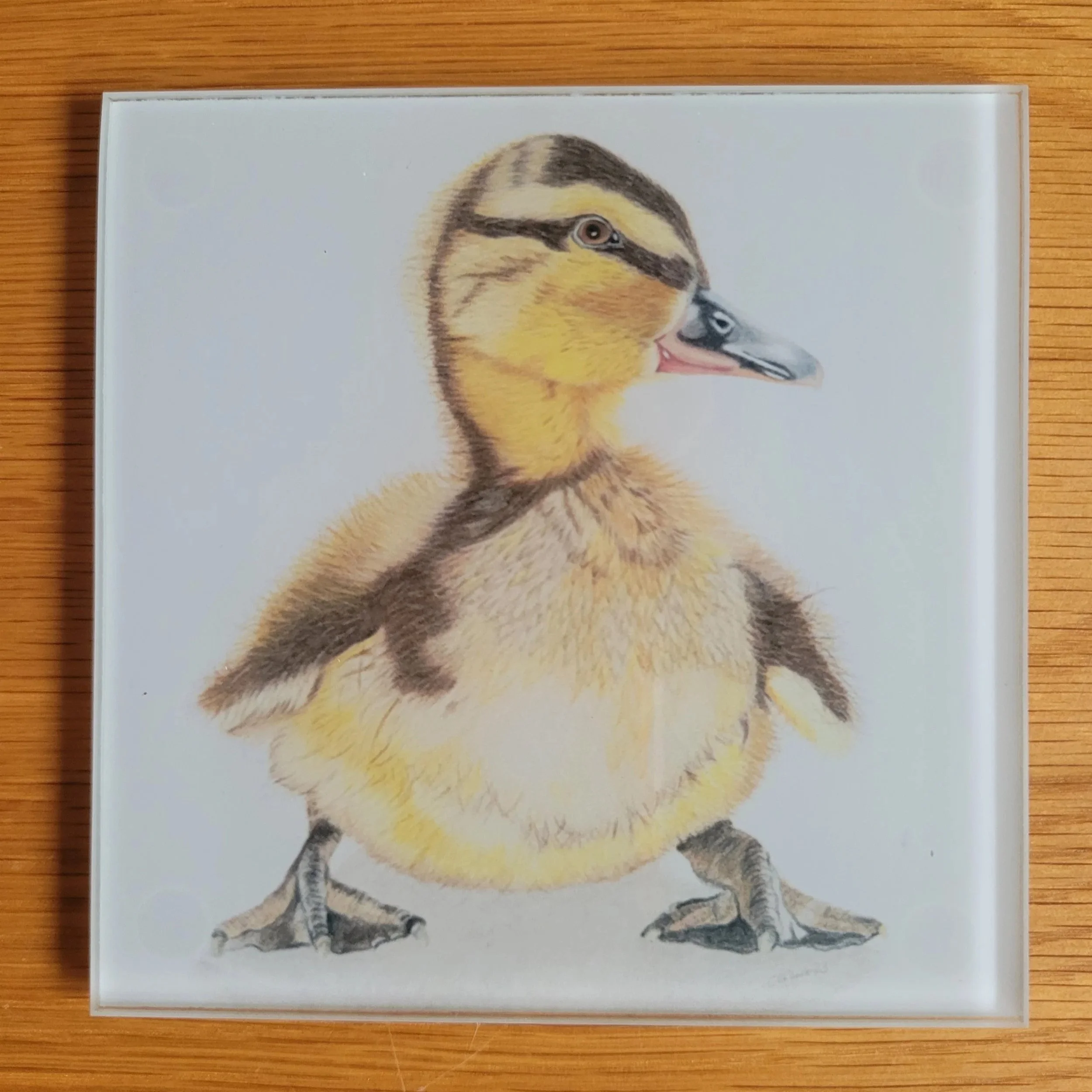 Duckling glass coaster.