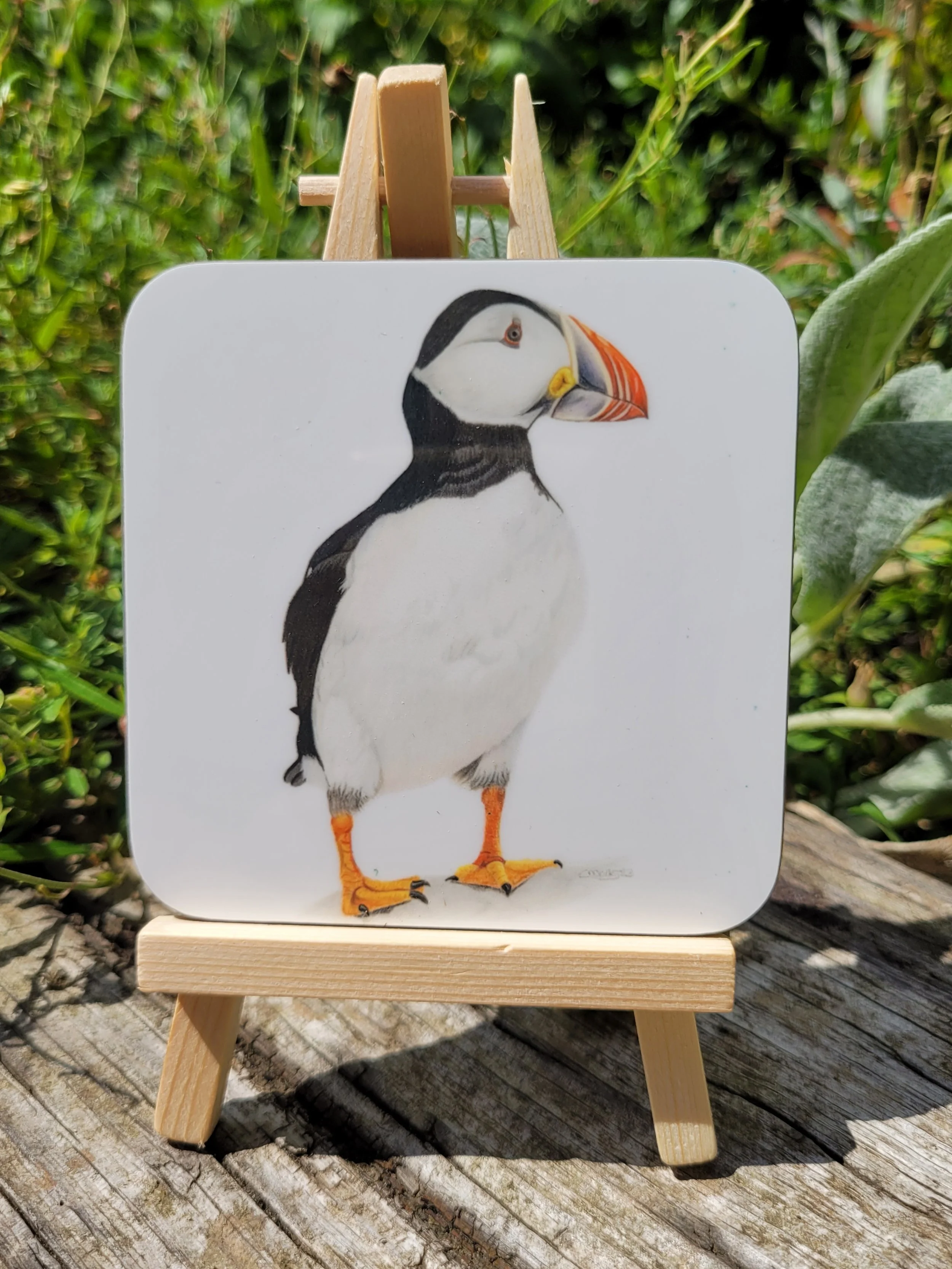 Puffin coaster.