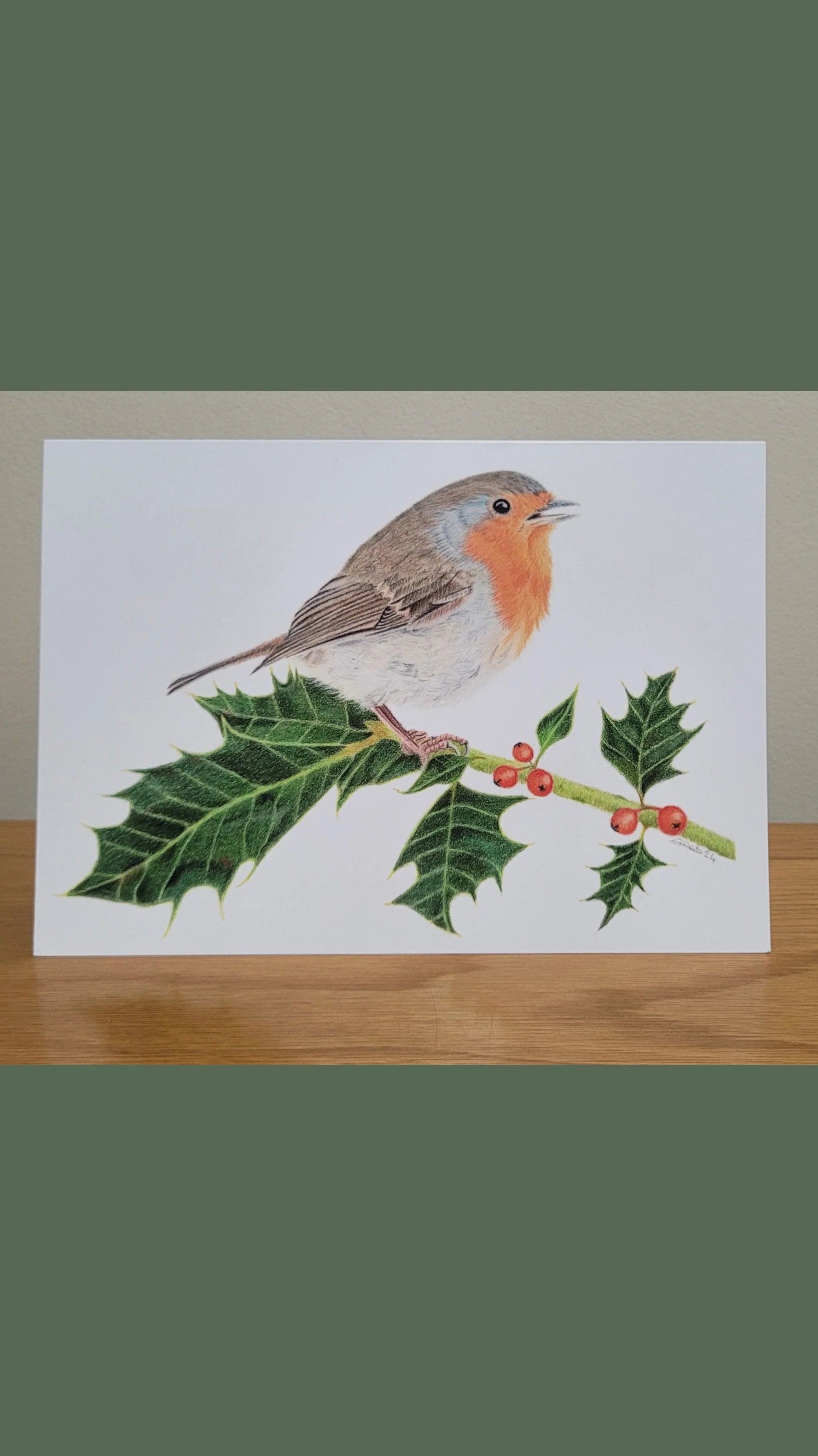 Robin on holly Christmas / greetings card.