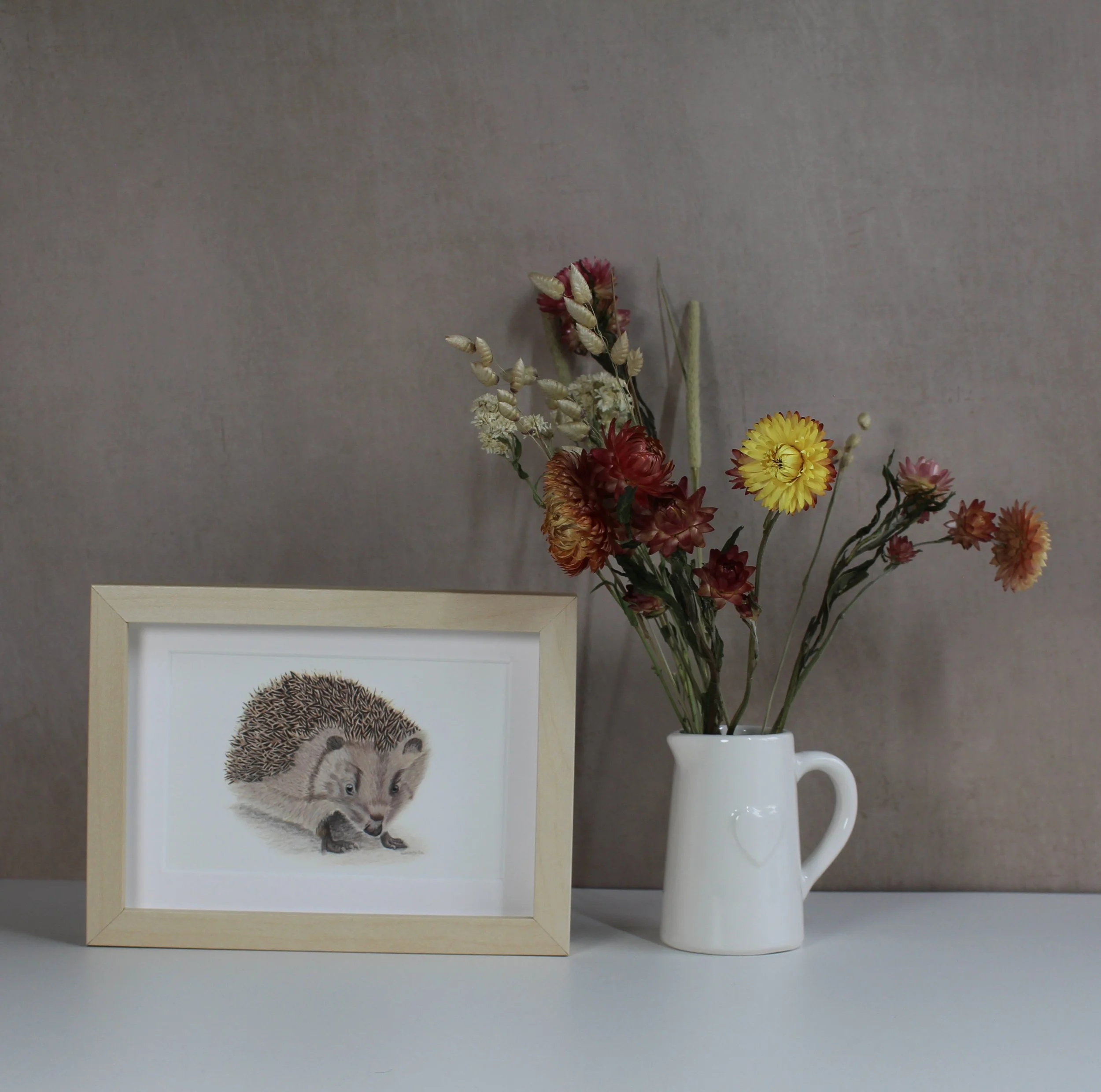 Hedgehog small framed fine art print