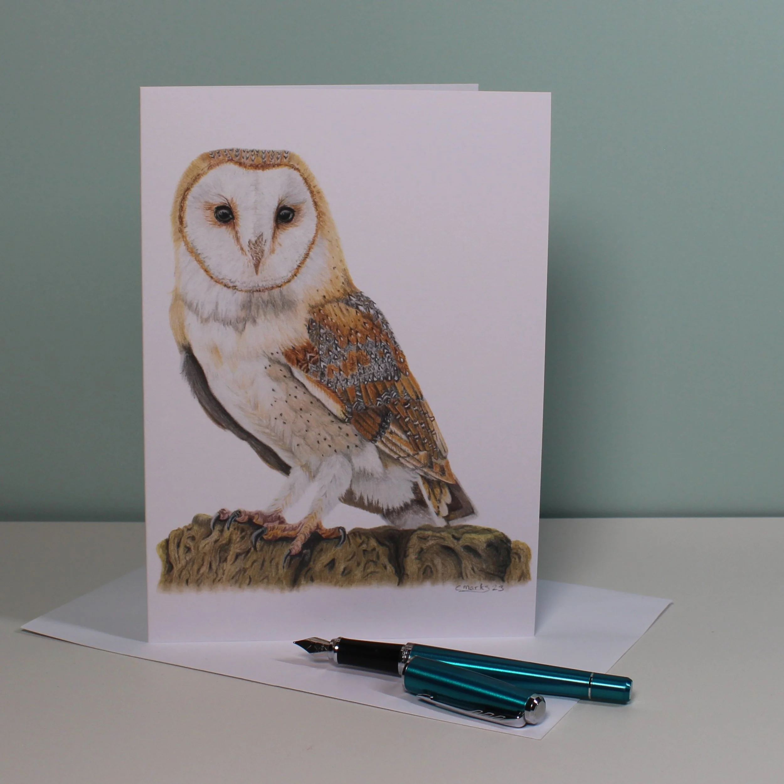 Barn owl greetings card (blank inside).
