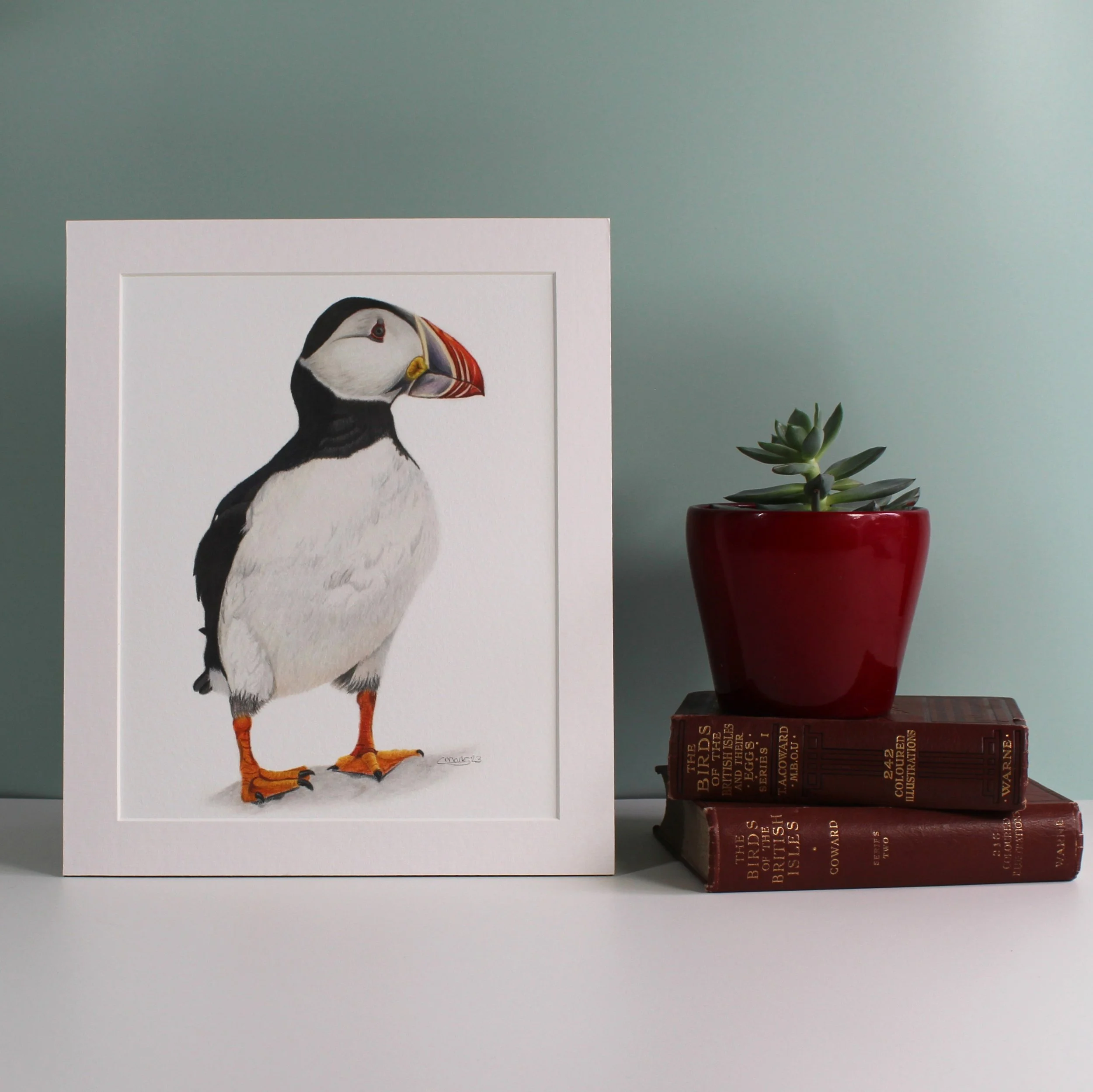 A fine art mounted print featuring a puffin drawing.