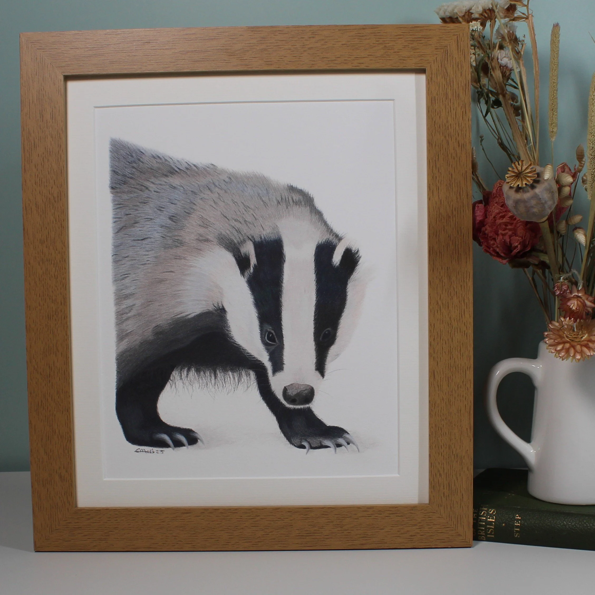 Badger large framed fine art print.