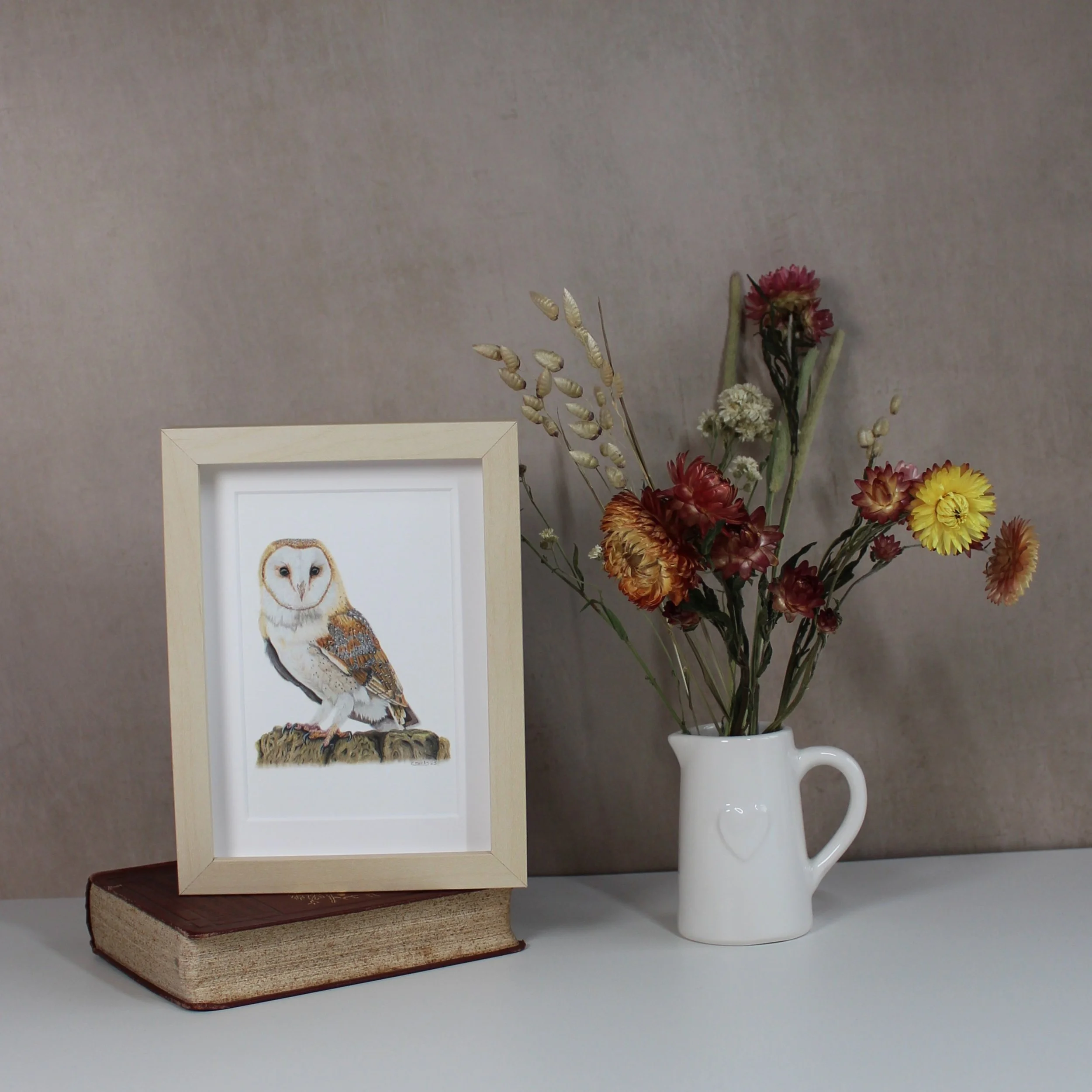 Barn owl small framed fine art print.