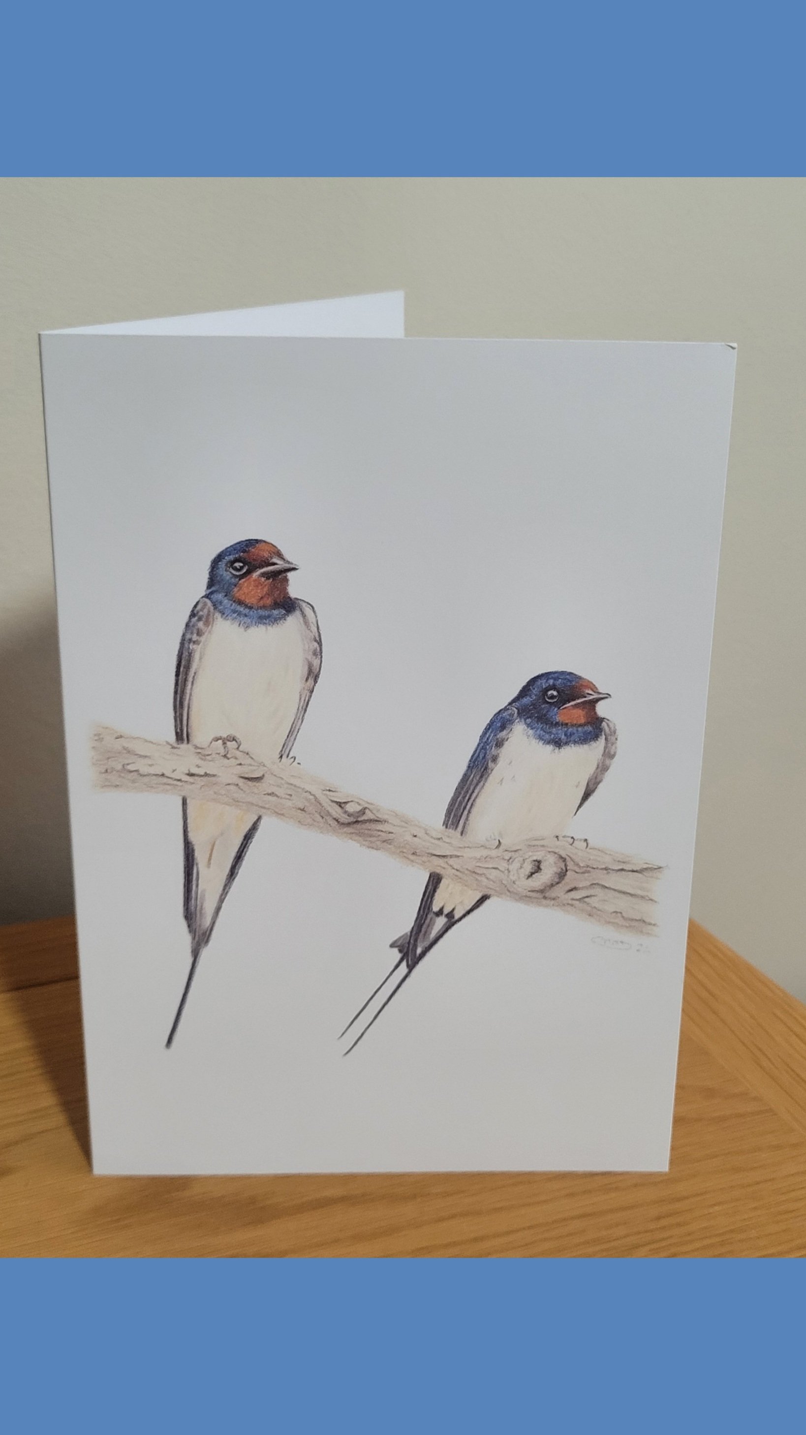 Greetings-card-swallows.jpg