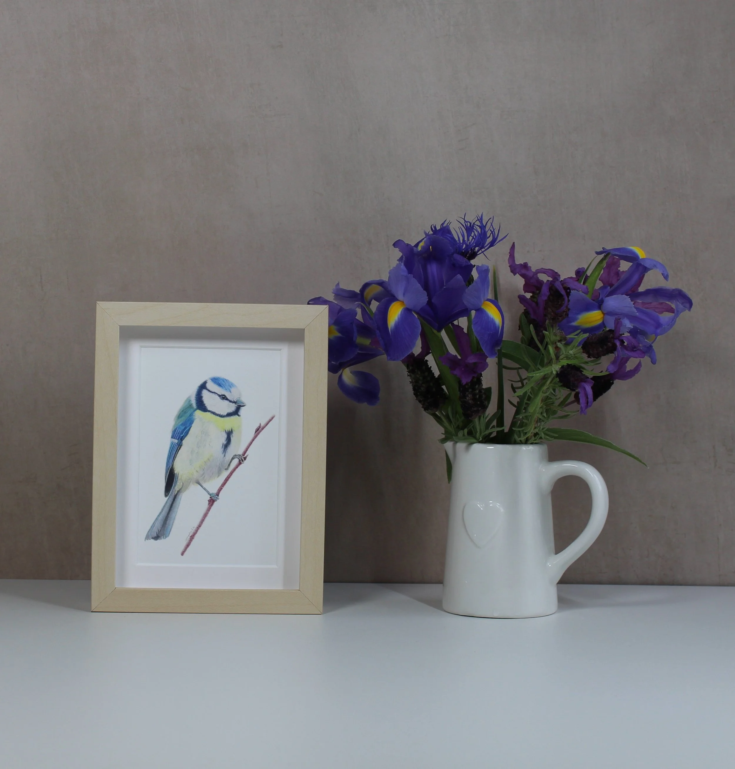 Blue tit small framed fine art print.