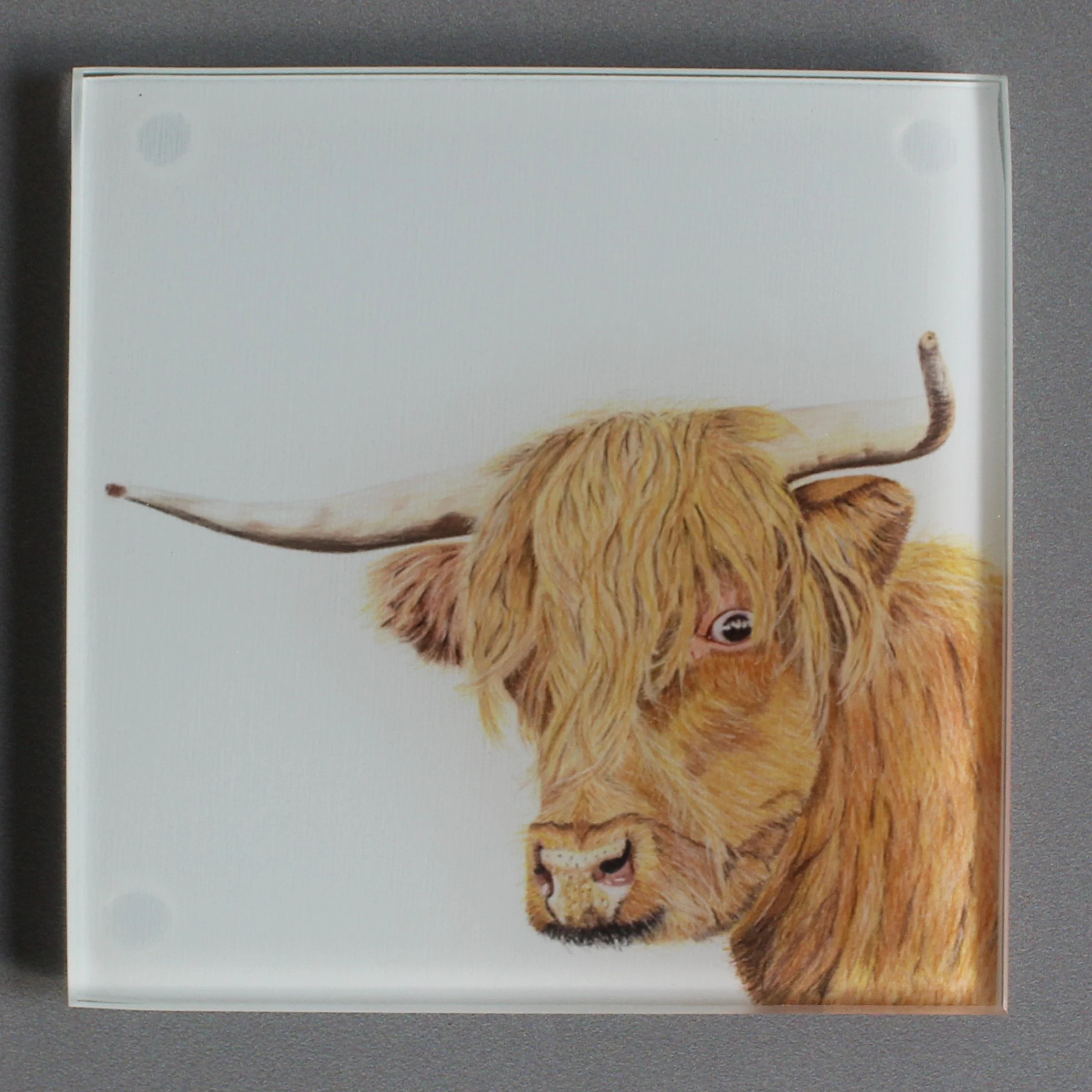 Highland cow glass coasters