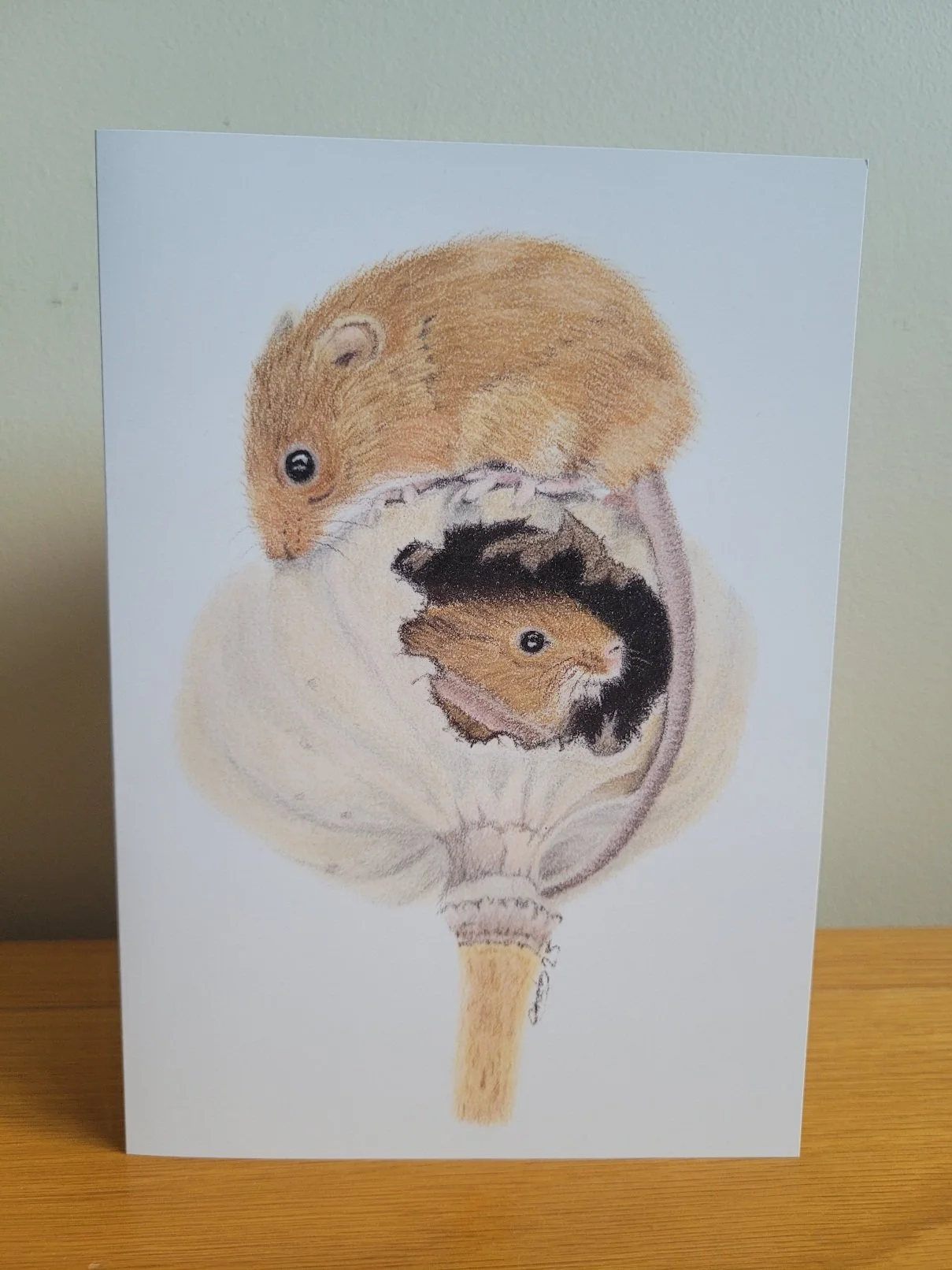 Harvest mice in a seedhead card.