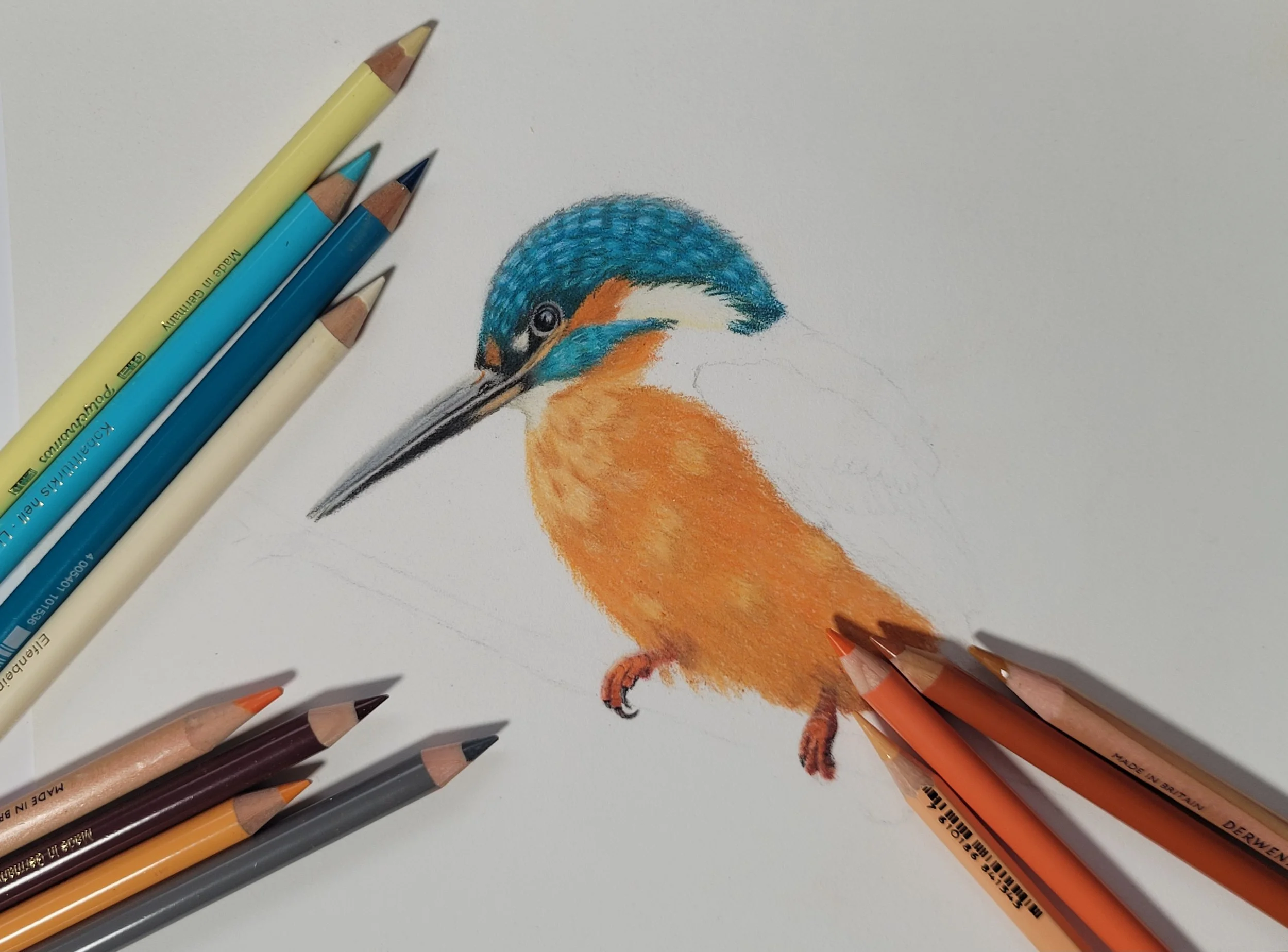 Kingfisher artwork work in progress with coloured pencils.