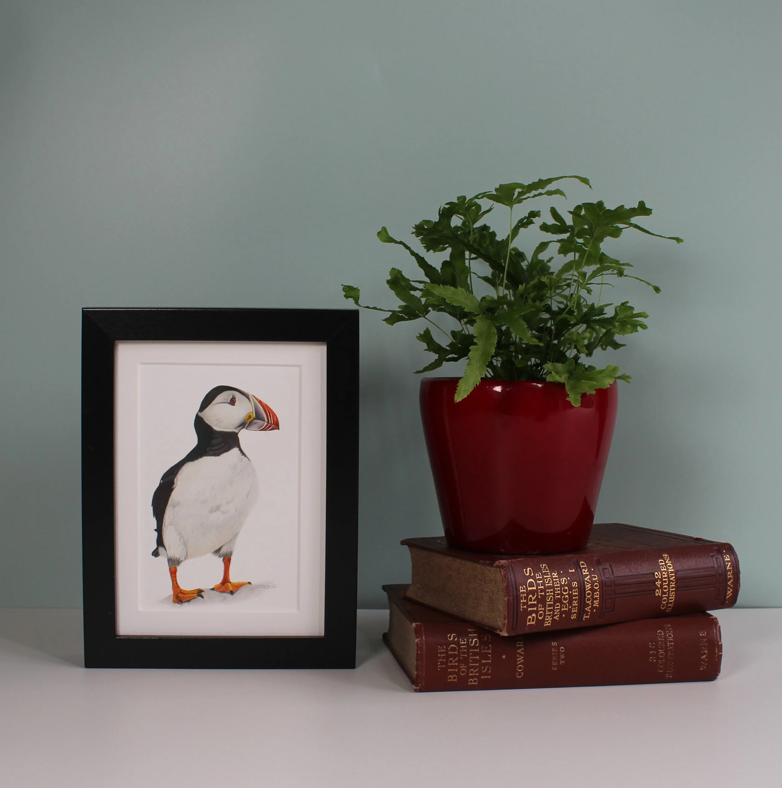 Puffin small framed fine art print