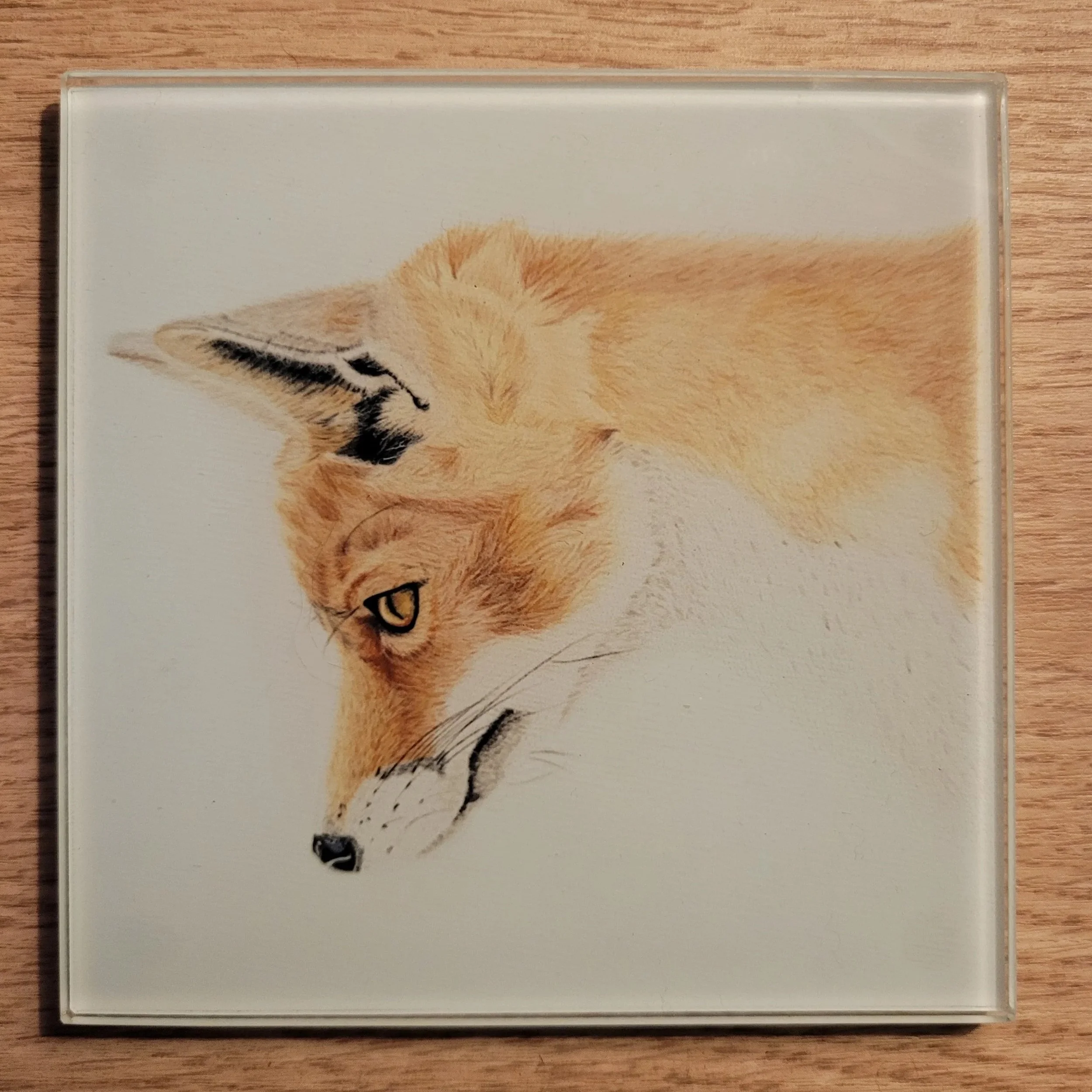 Fox glass coaster.