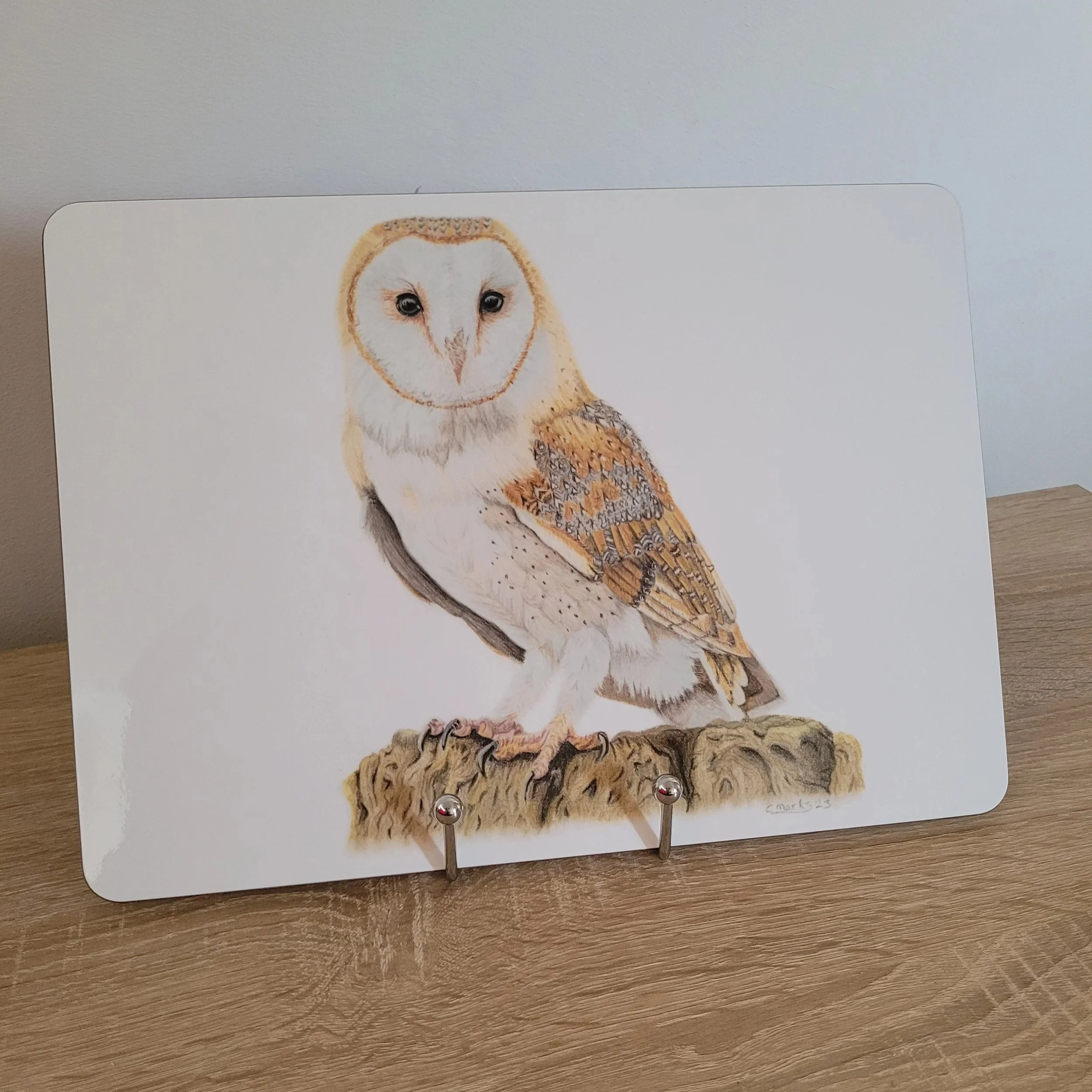 Barn owl placemat.