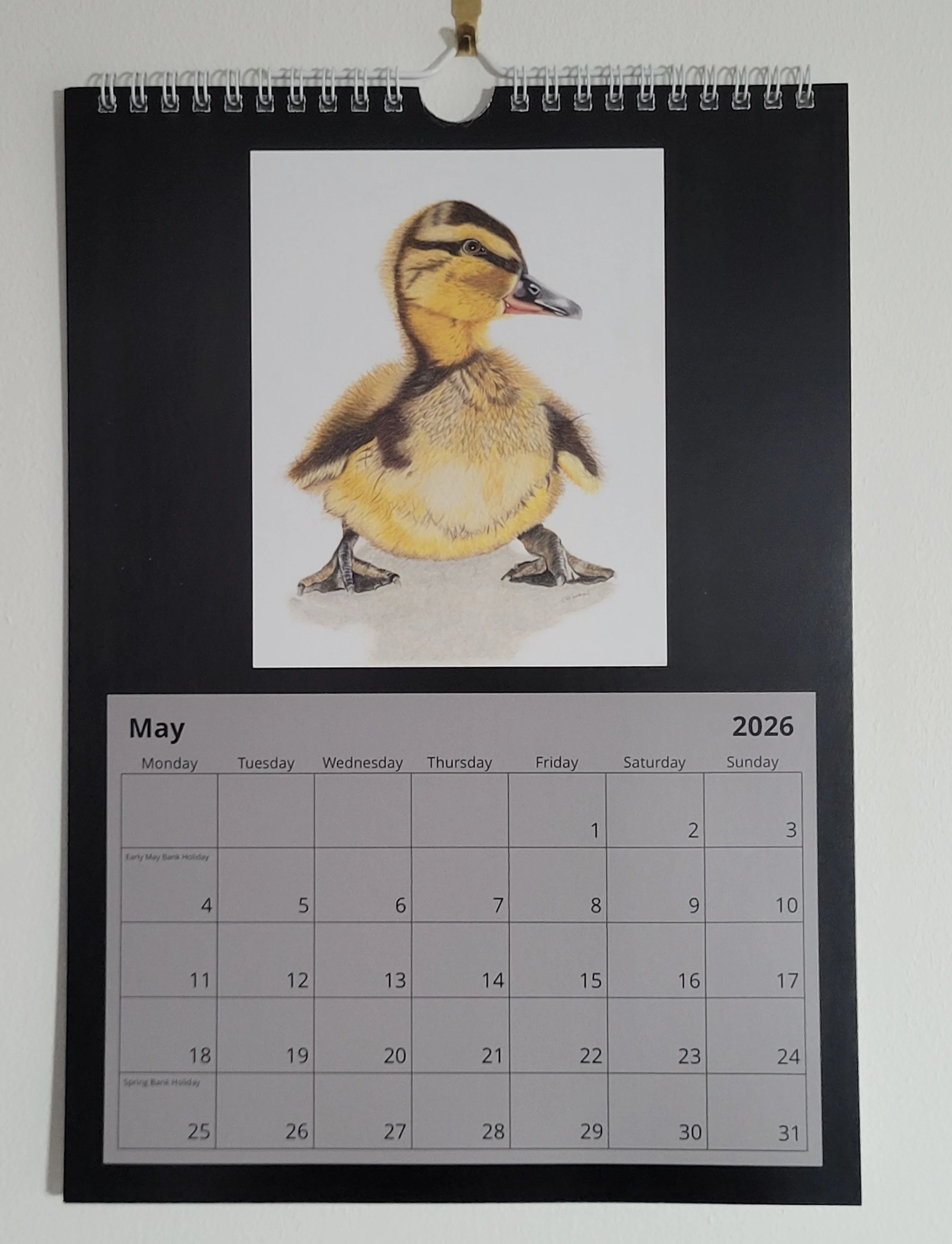 2026 wall calendar with British wildlife artwork. A duckling is the feature for May.