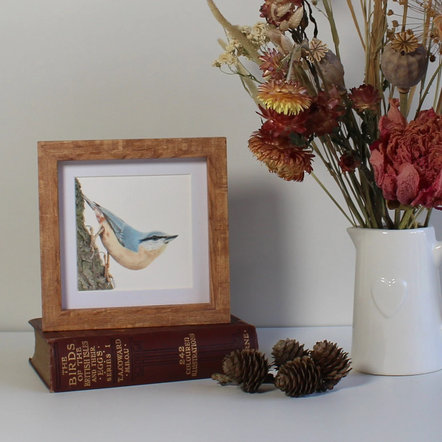 Nuthatch small framed fine art print.