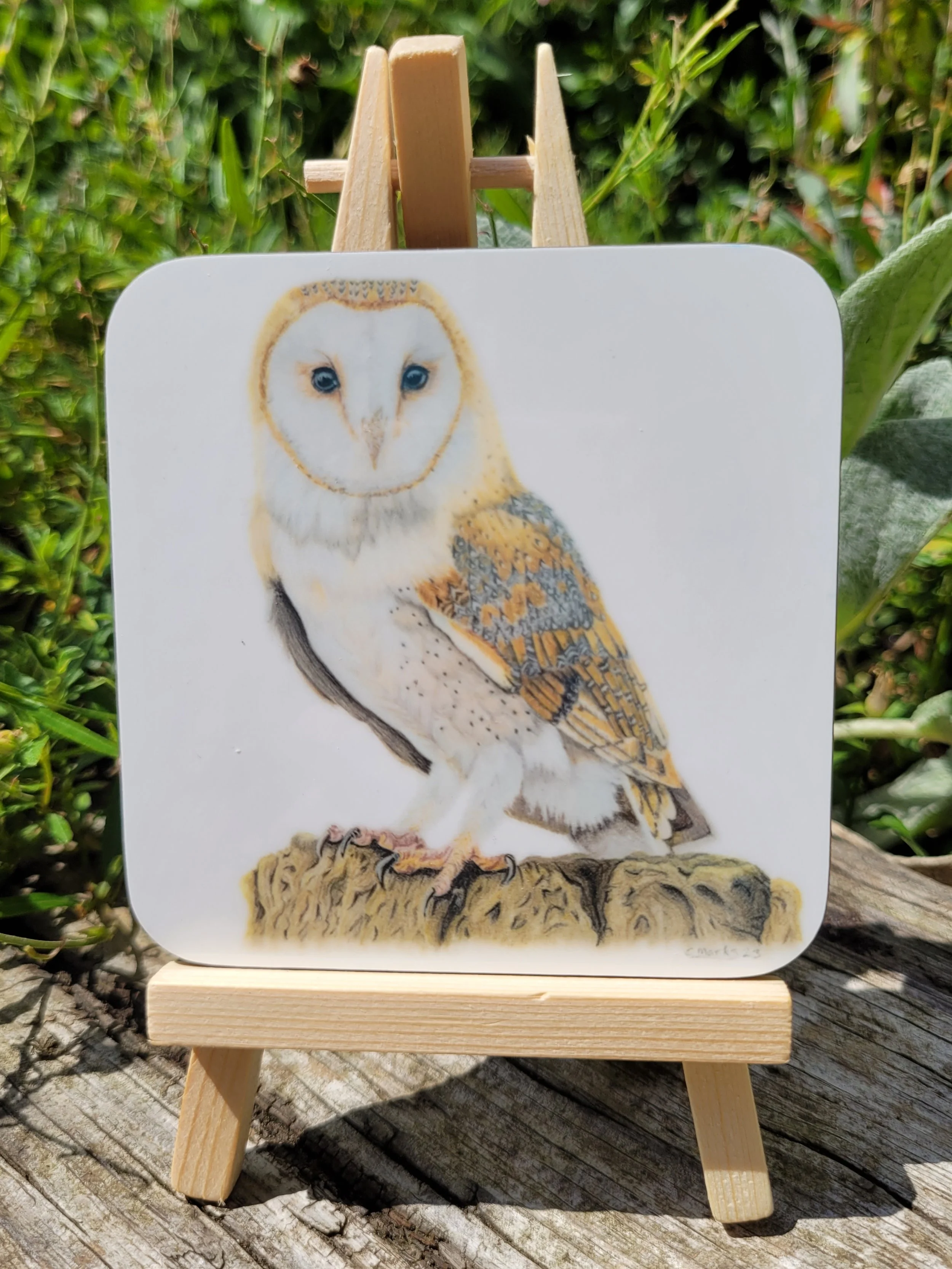 Barn owl coaster.