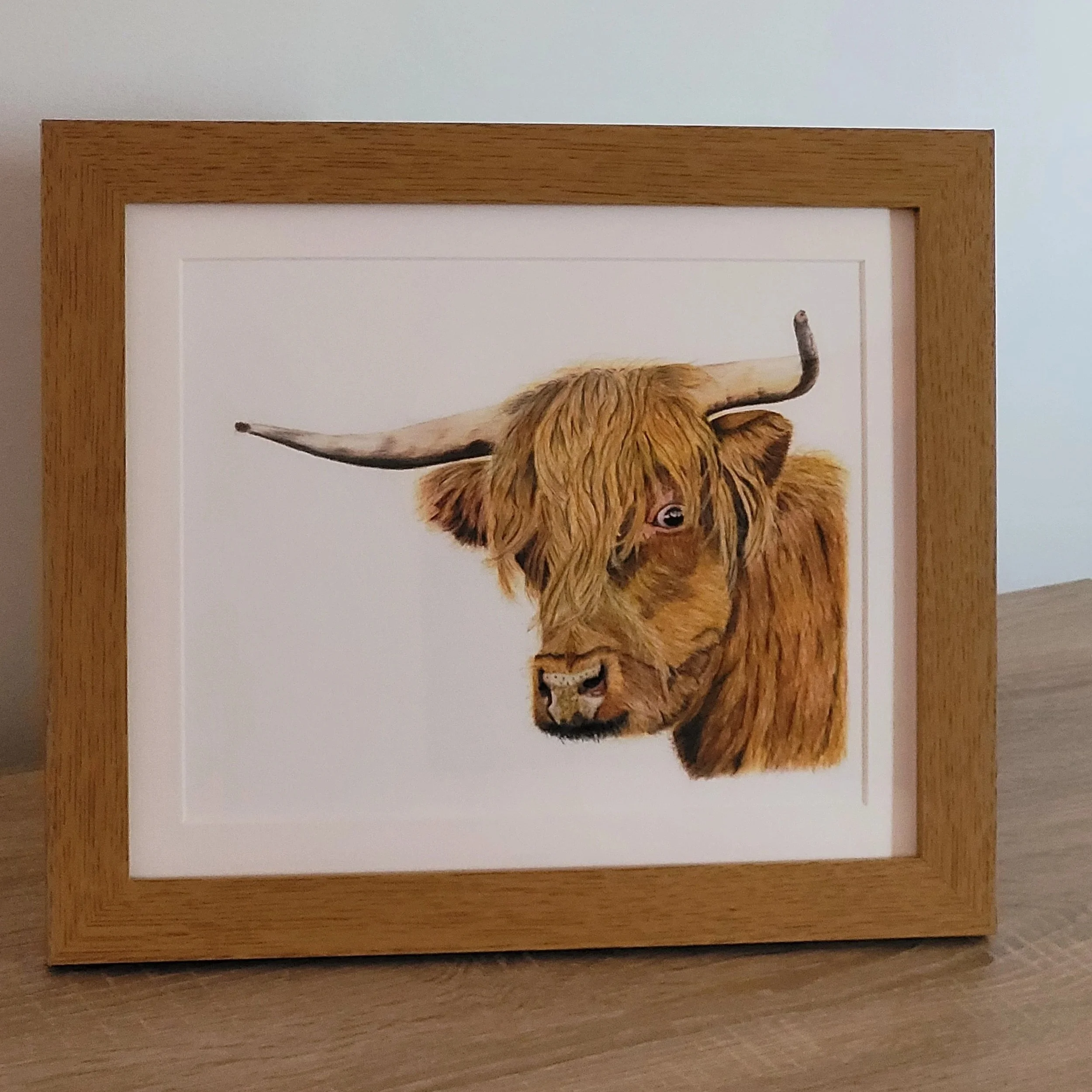 Highland cow large framed fine art print.