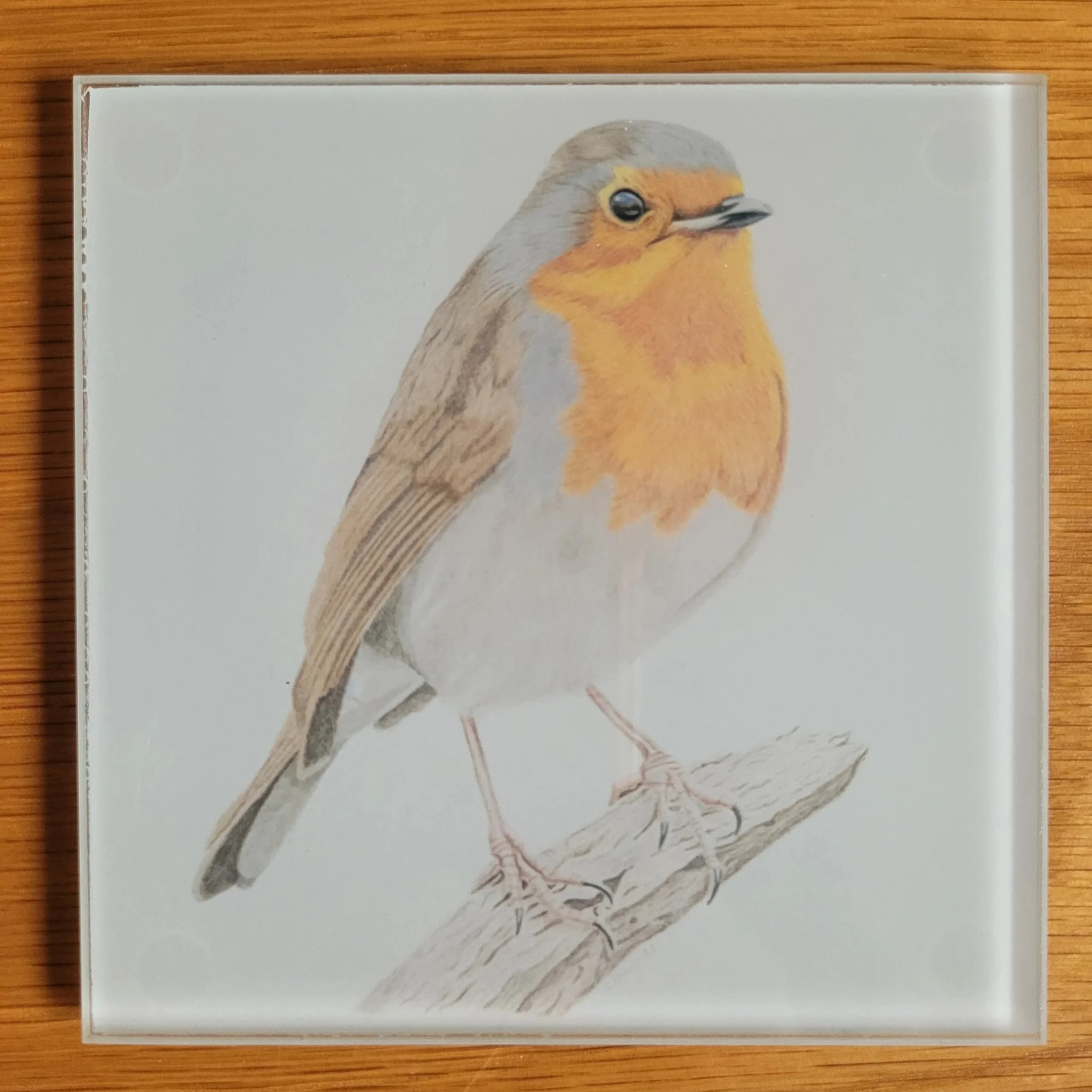 Robin glass coasters