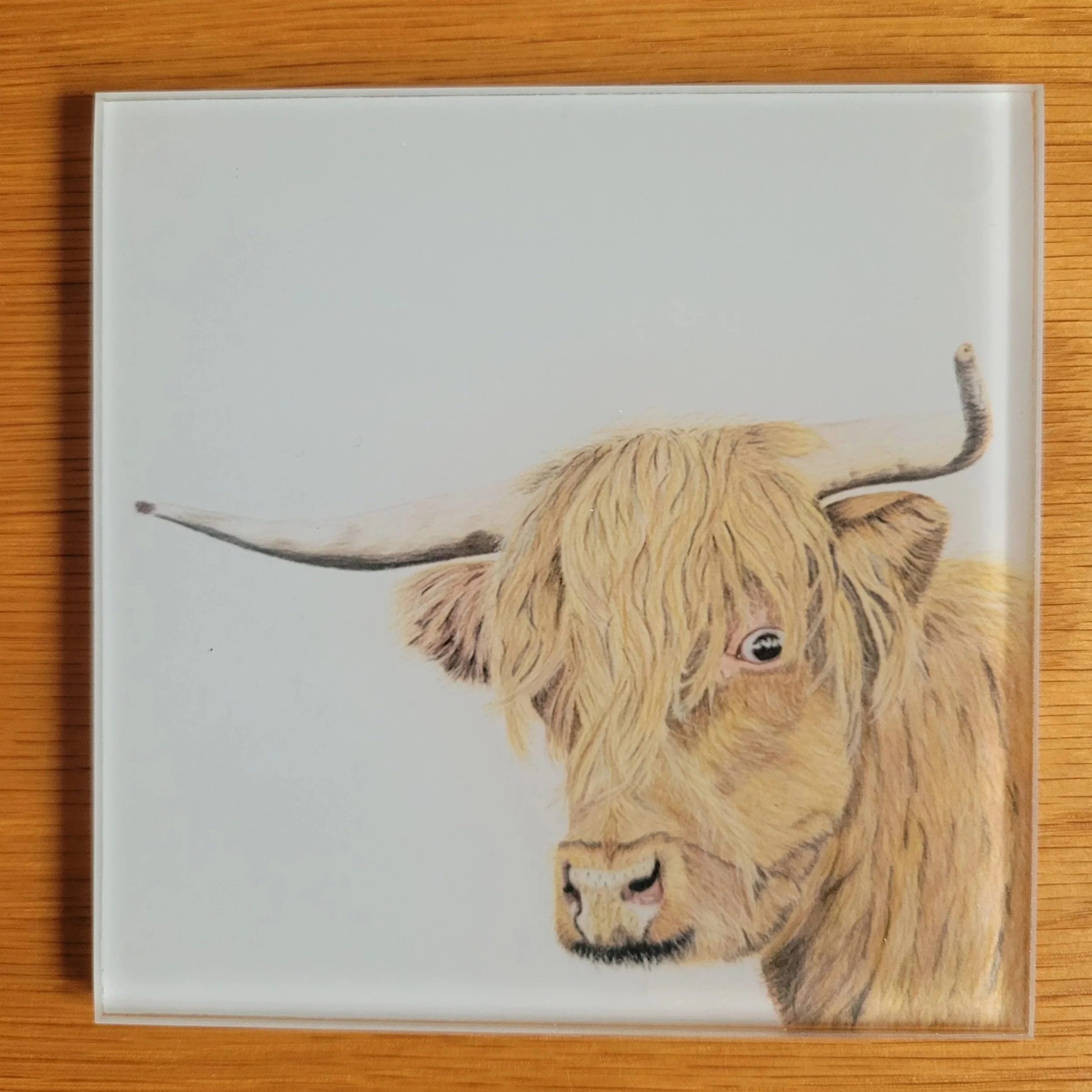 Highland cow glass coaster.
