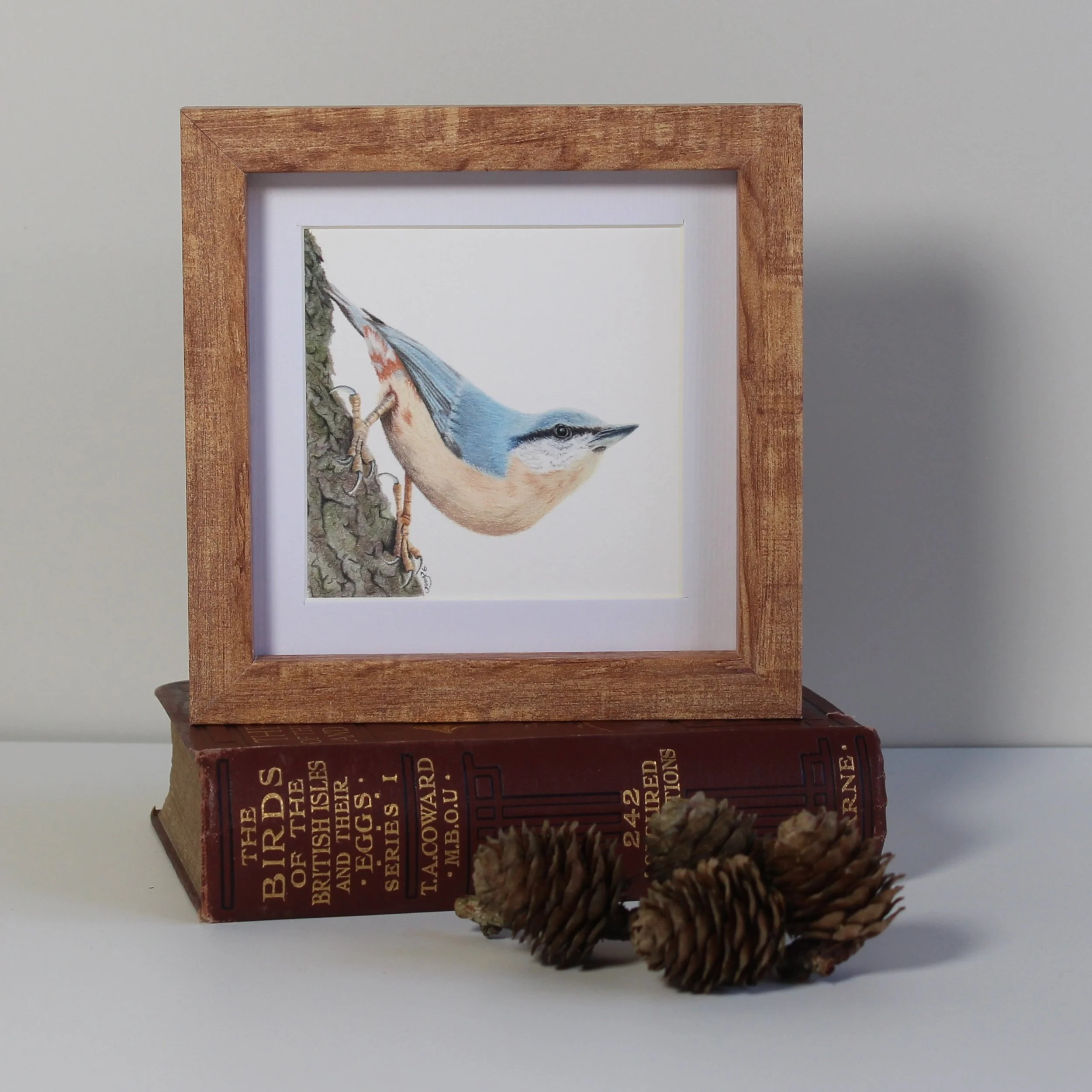 Nuthatch small framed fine art print