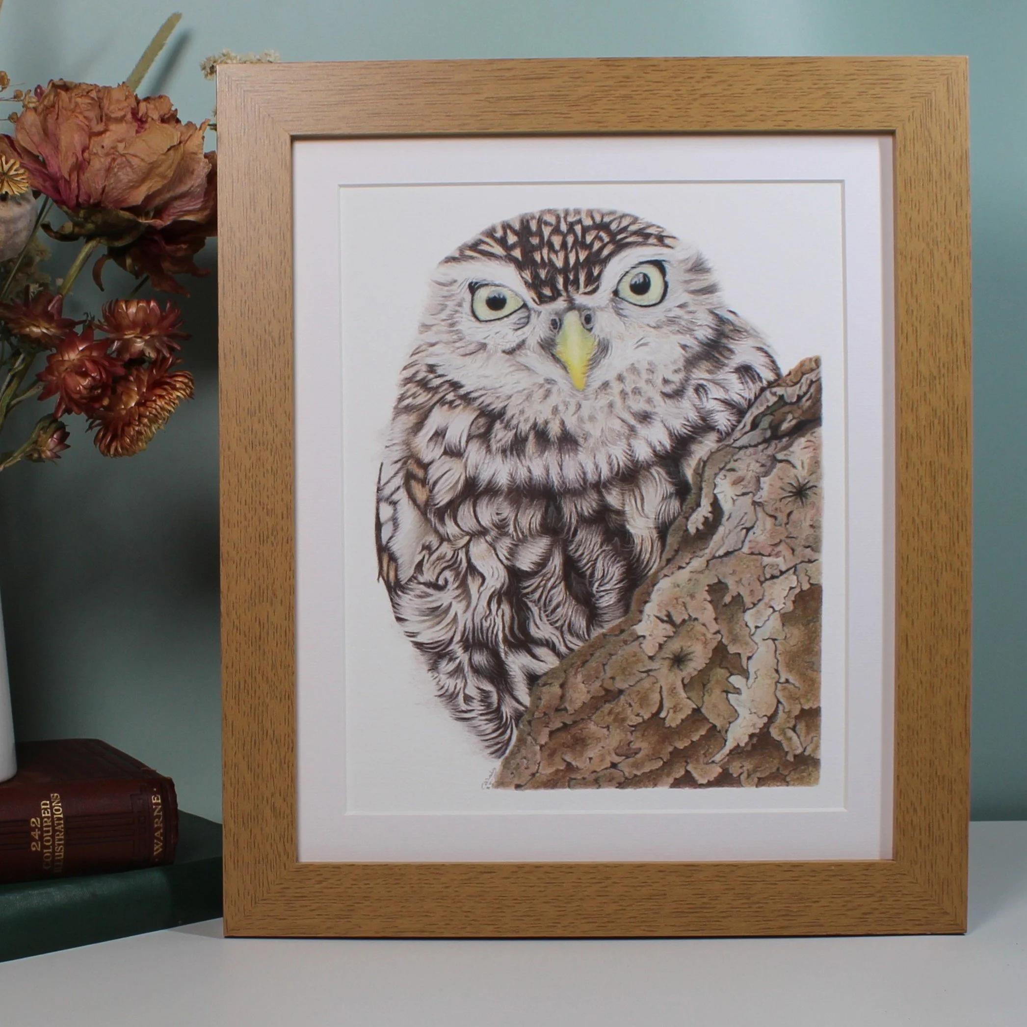 Little owl large frame fine art print