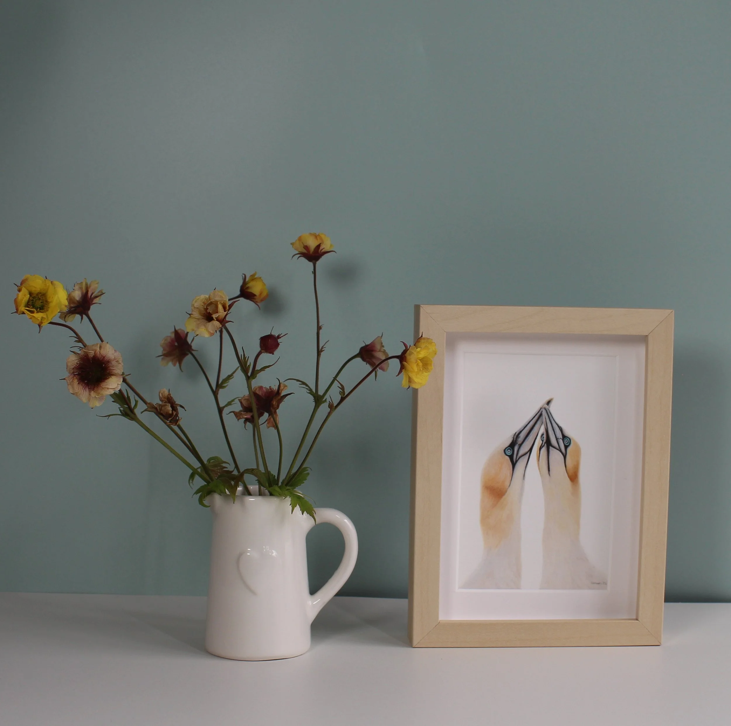 Gannets small framed fine art print