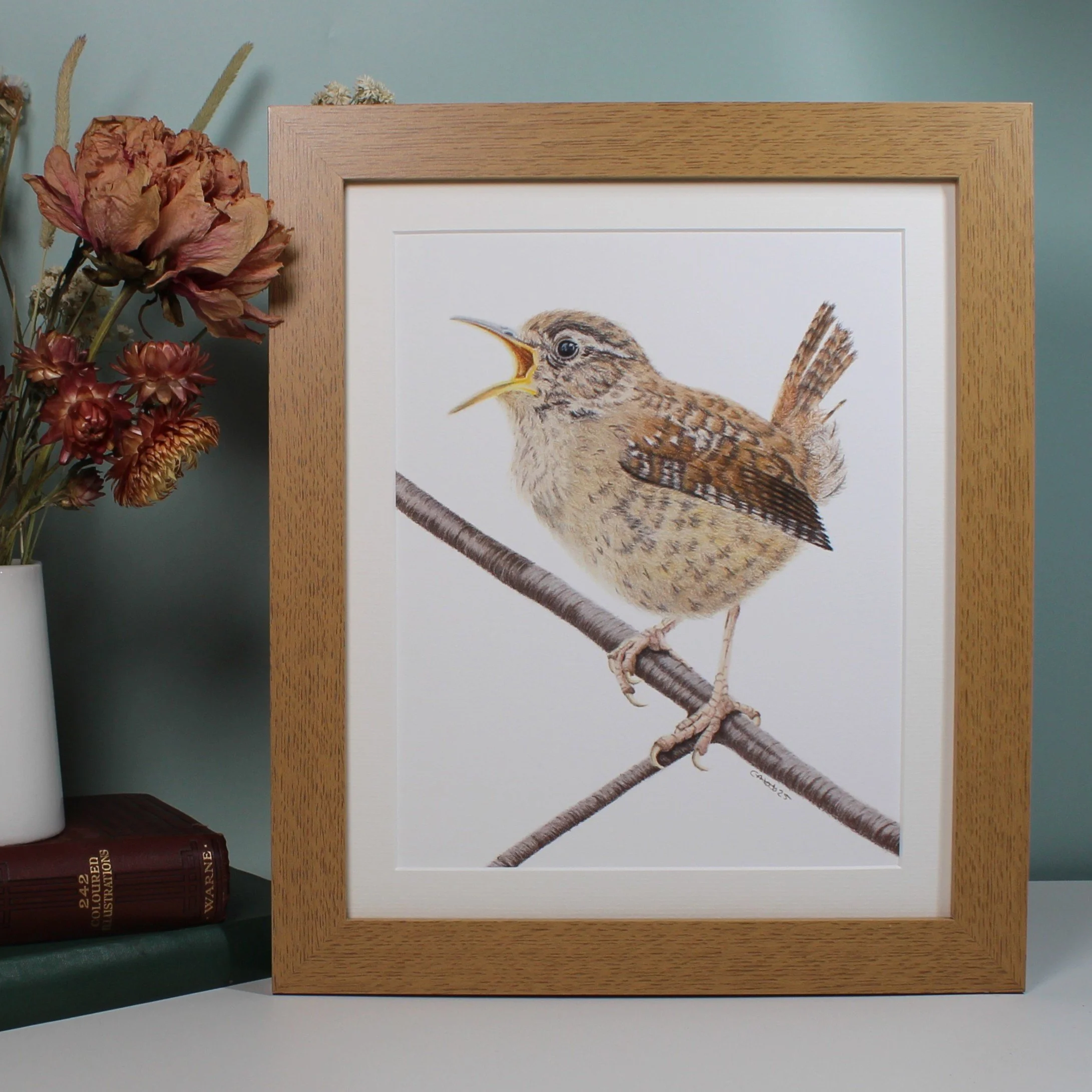Wren large framed fine art print.