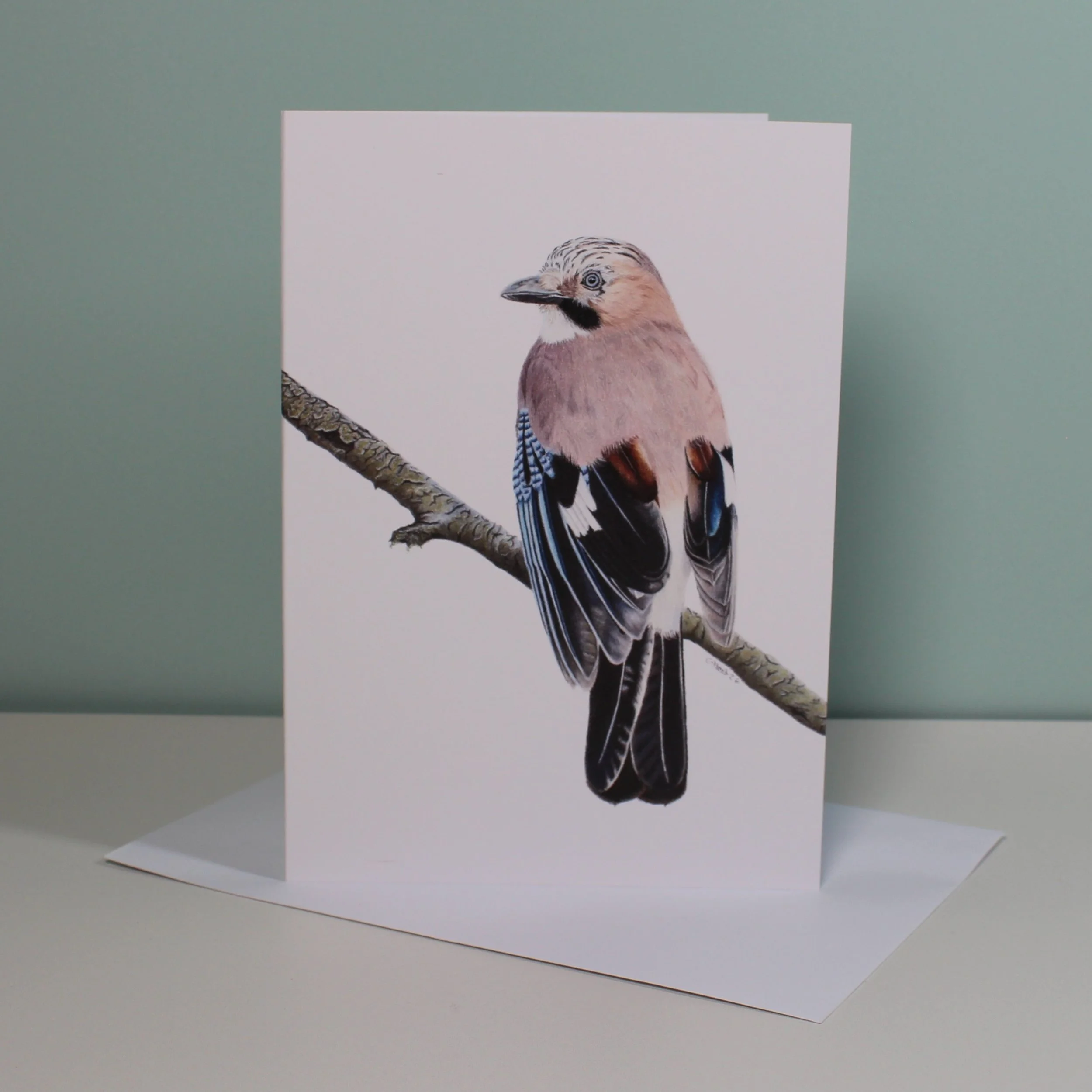 Jay greetings card (blank inside) .