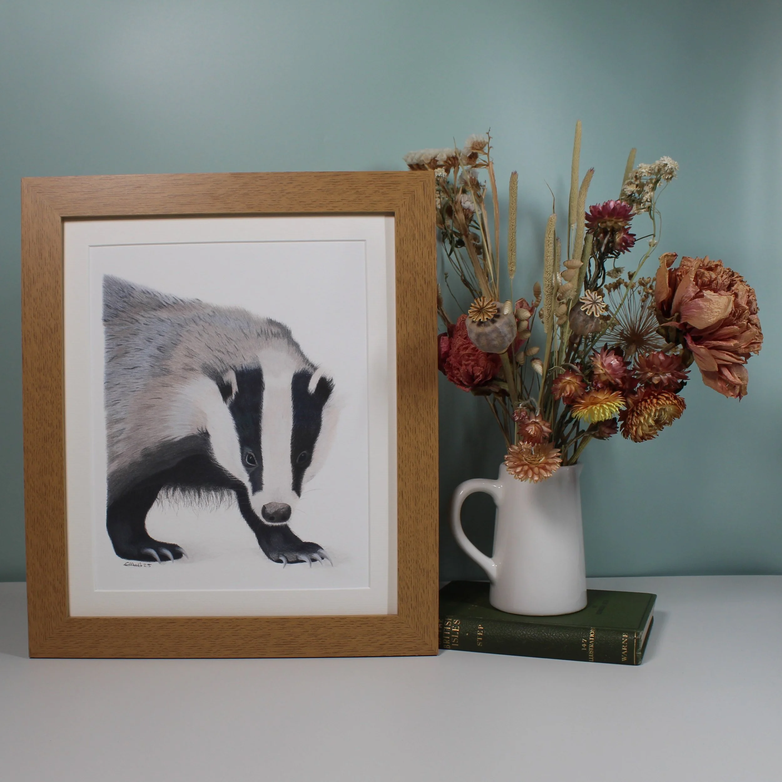 Badger large framed fine art print