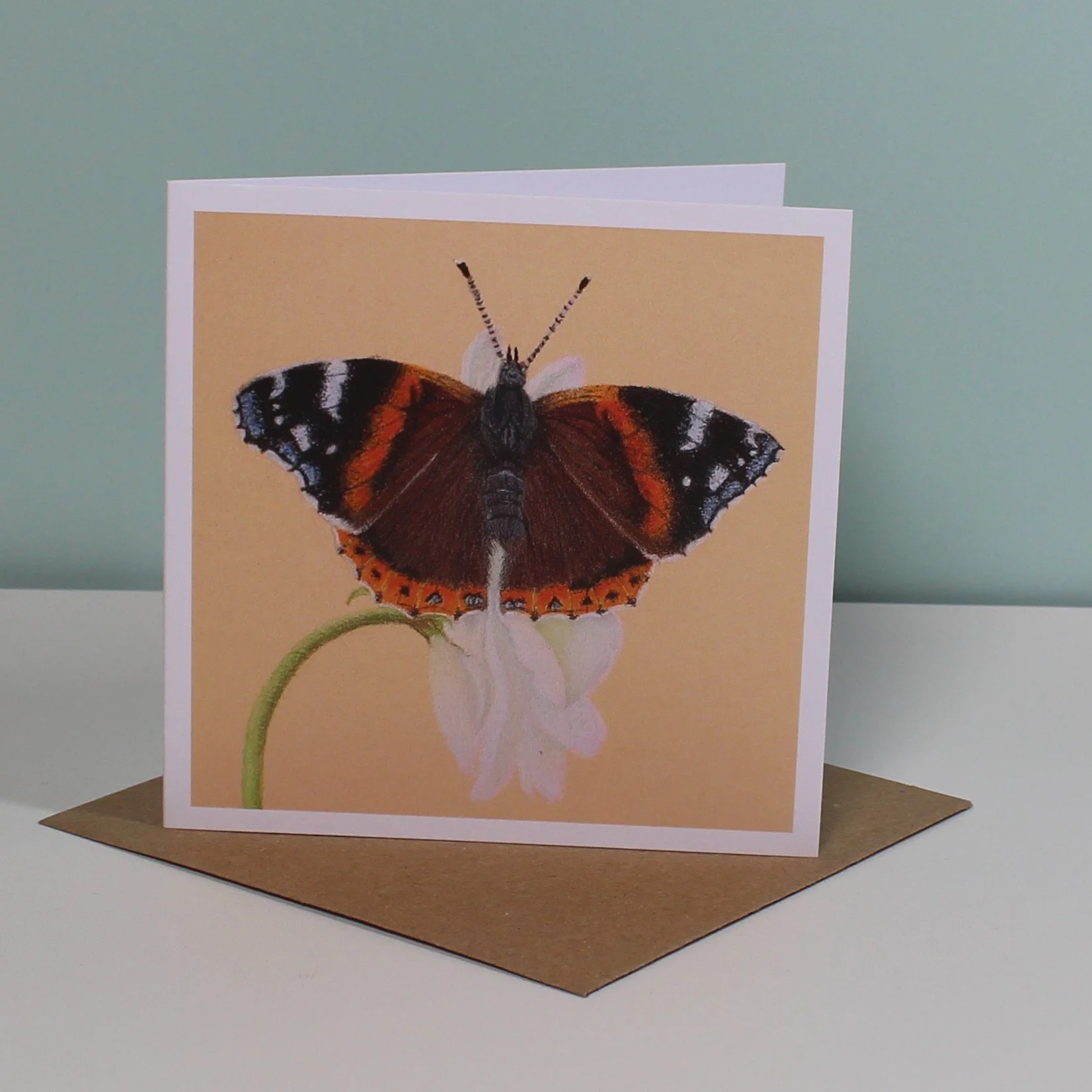 Red admiral butterfly greetings card (blank inside).