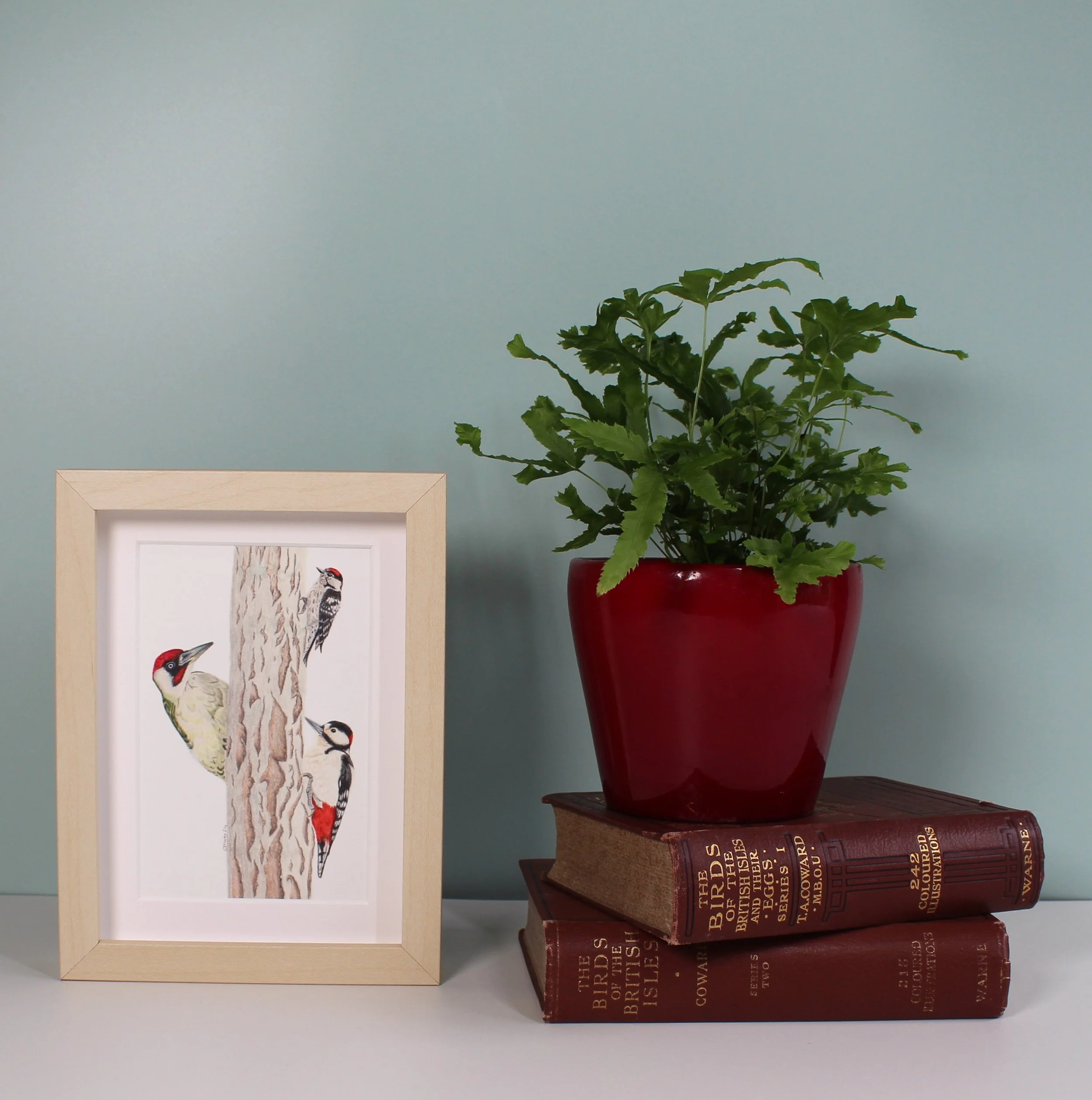 A trio of British woodpeckers small framed fine art print