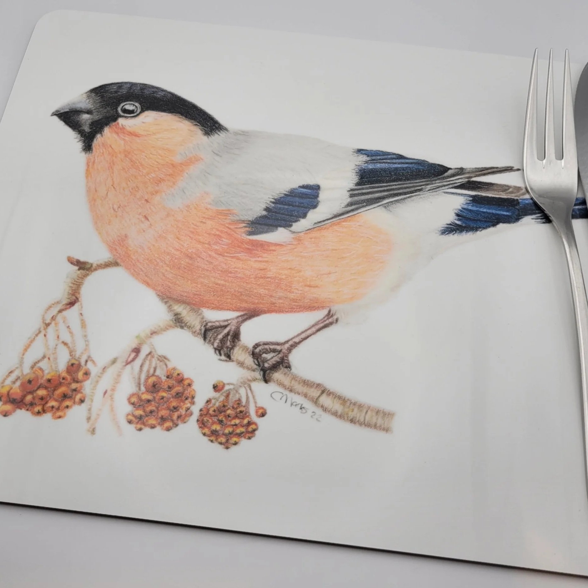 Bullfinch individual placements