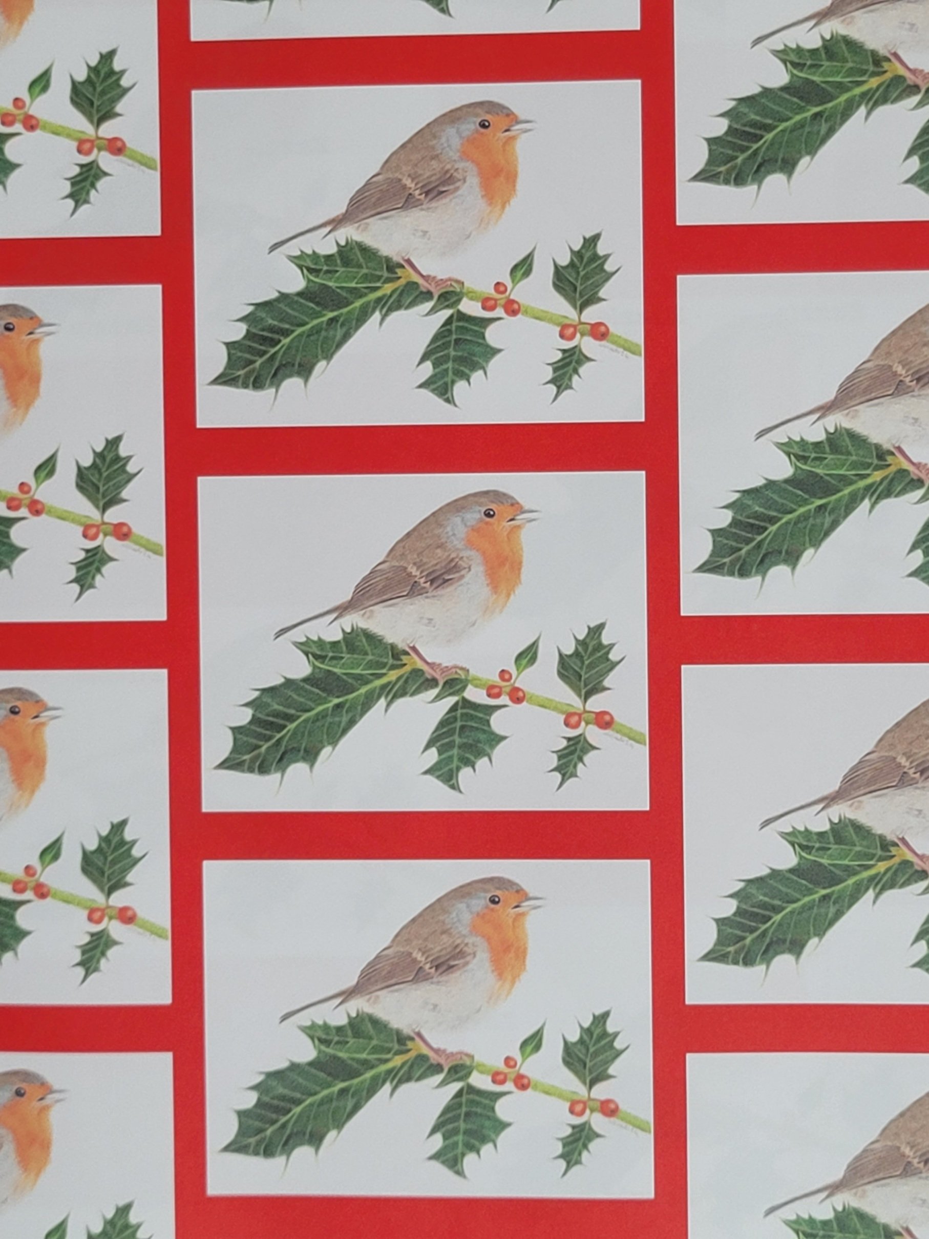 Robin on holly Christmas wrapping paper.