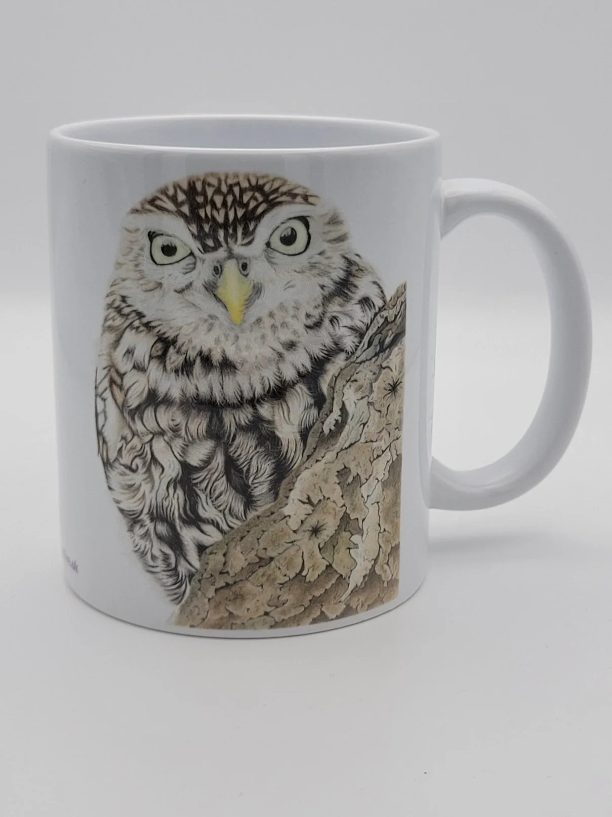 Little owl mug.