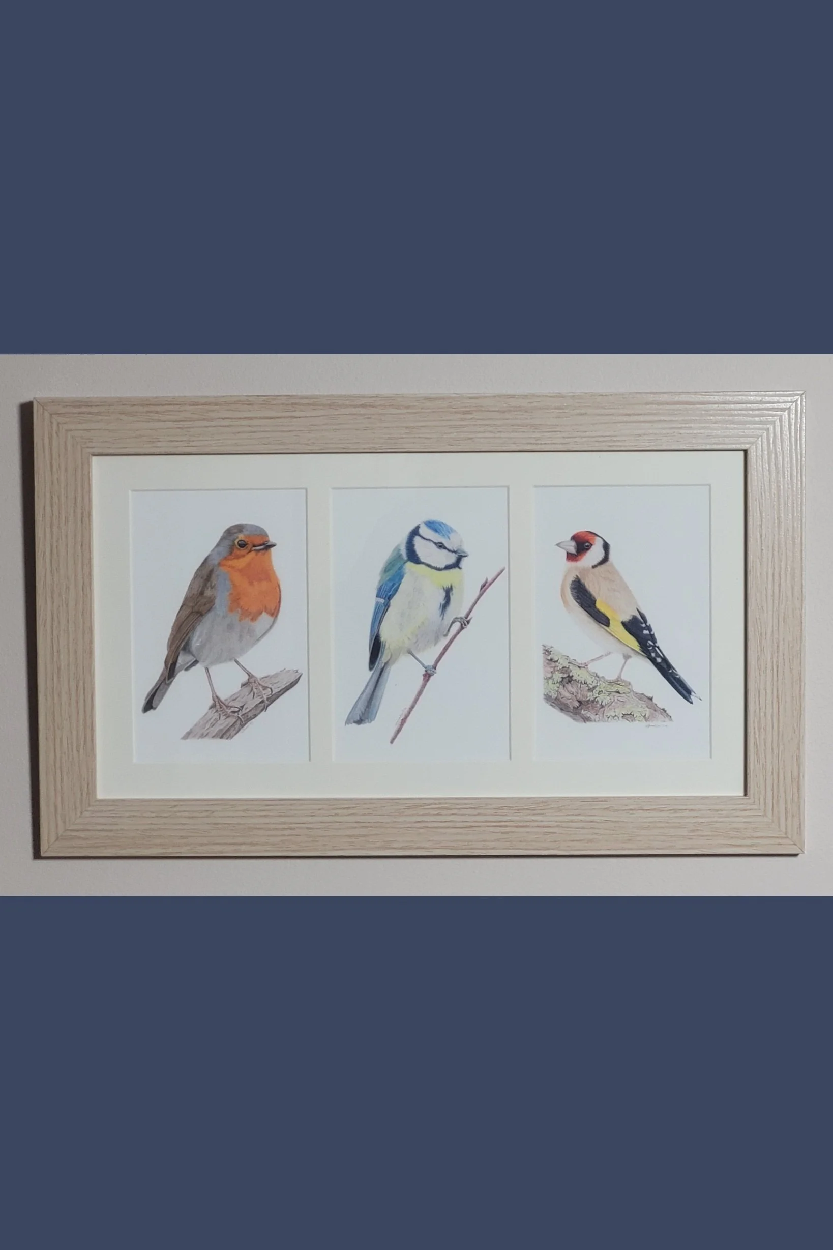 Framed 3 garden birds fine art prints (blue tit, robin, goldfinch).