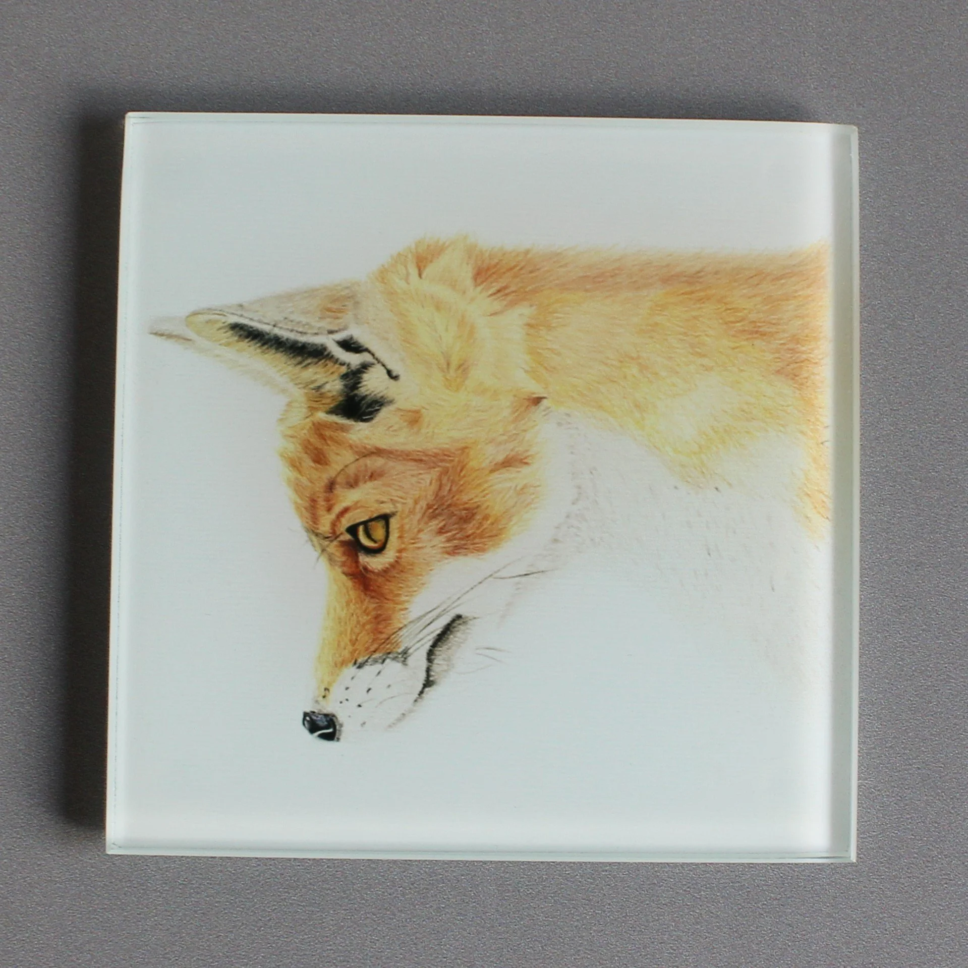 Fox glass coasters