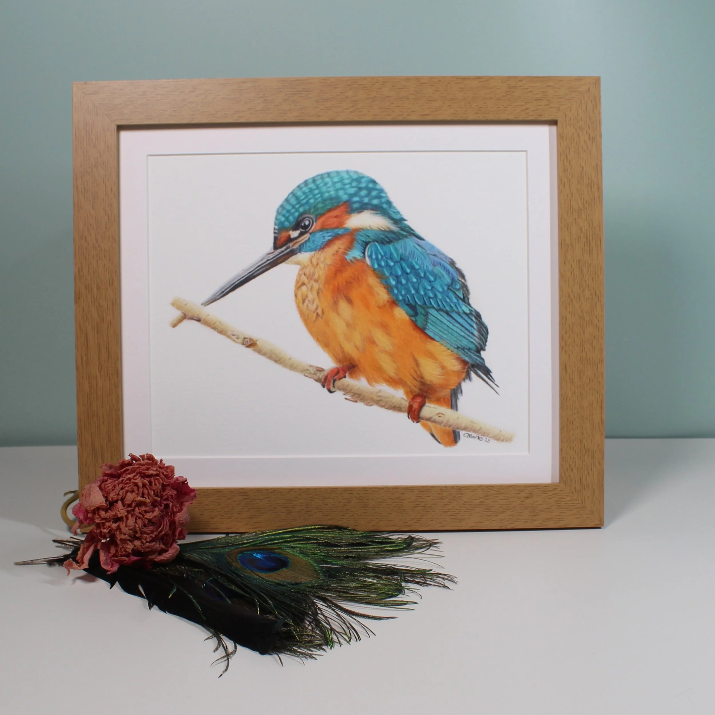 Kingfisher large frame fine art print.