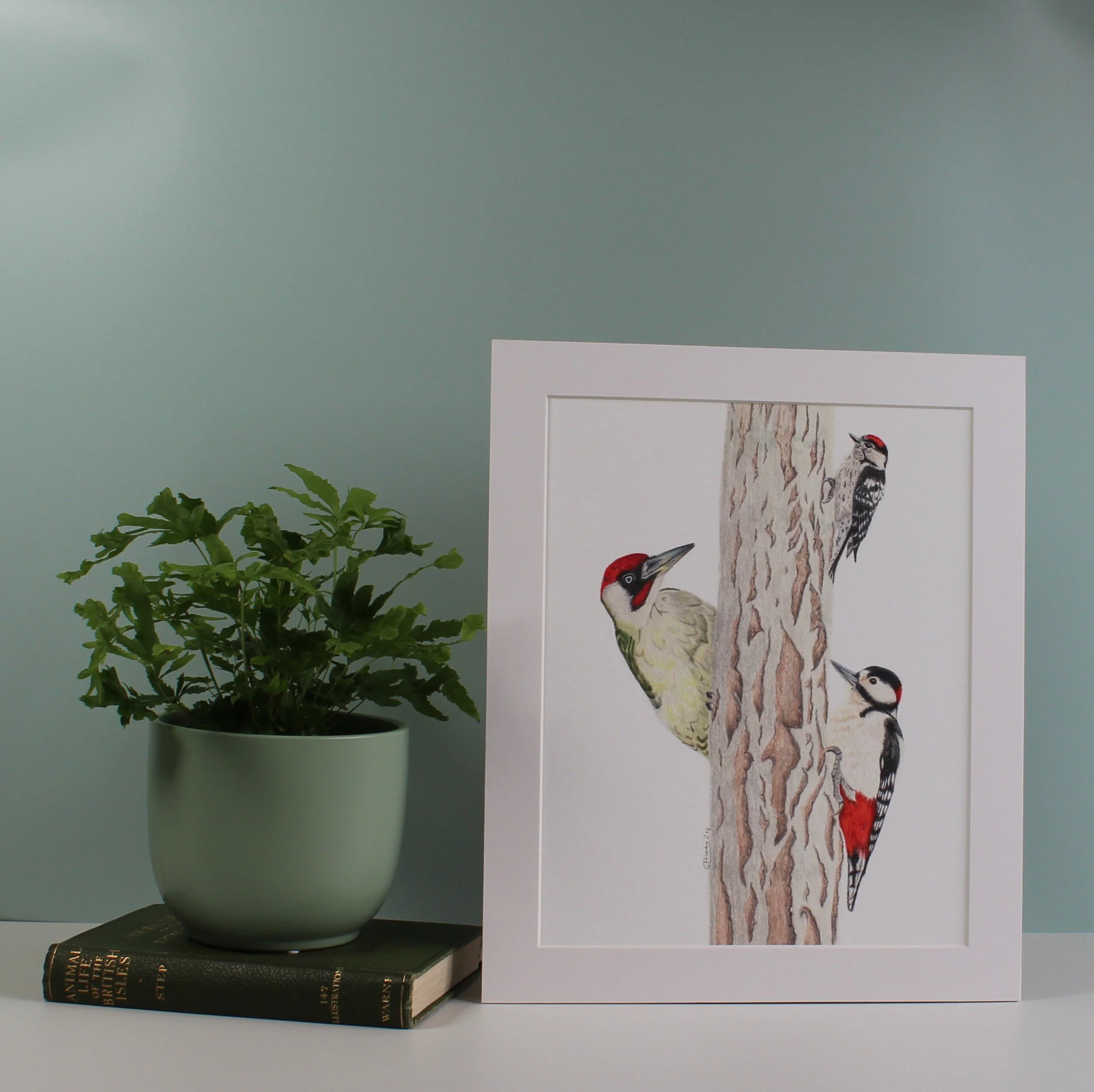 Woodpeckers fine art print (mounted and unframed)